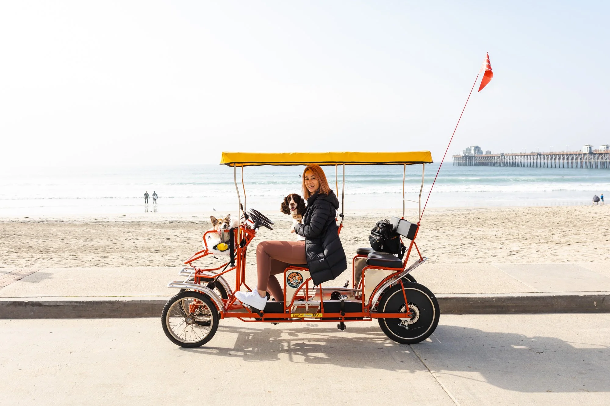 The Perfect 24-Hour Dog-Friendly Itinerary for Oceanside, CA
