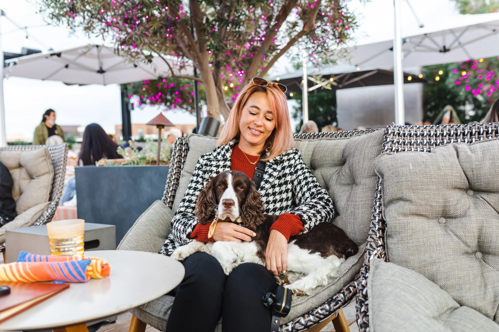 7 Super Dog-Friendly Restaurants, Cafes, and Bars in Oceanside, CA