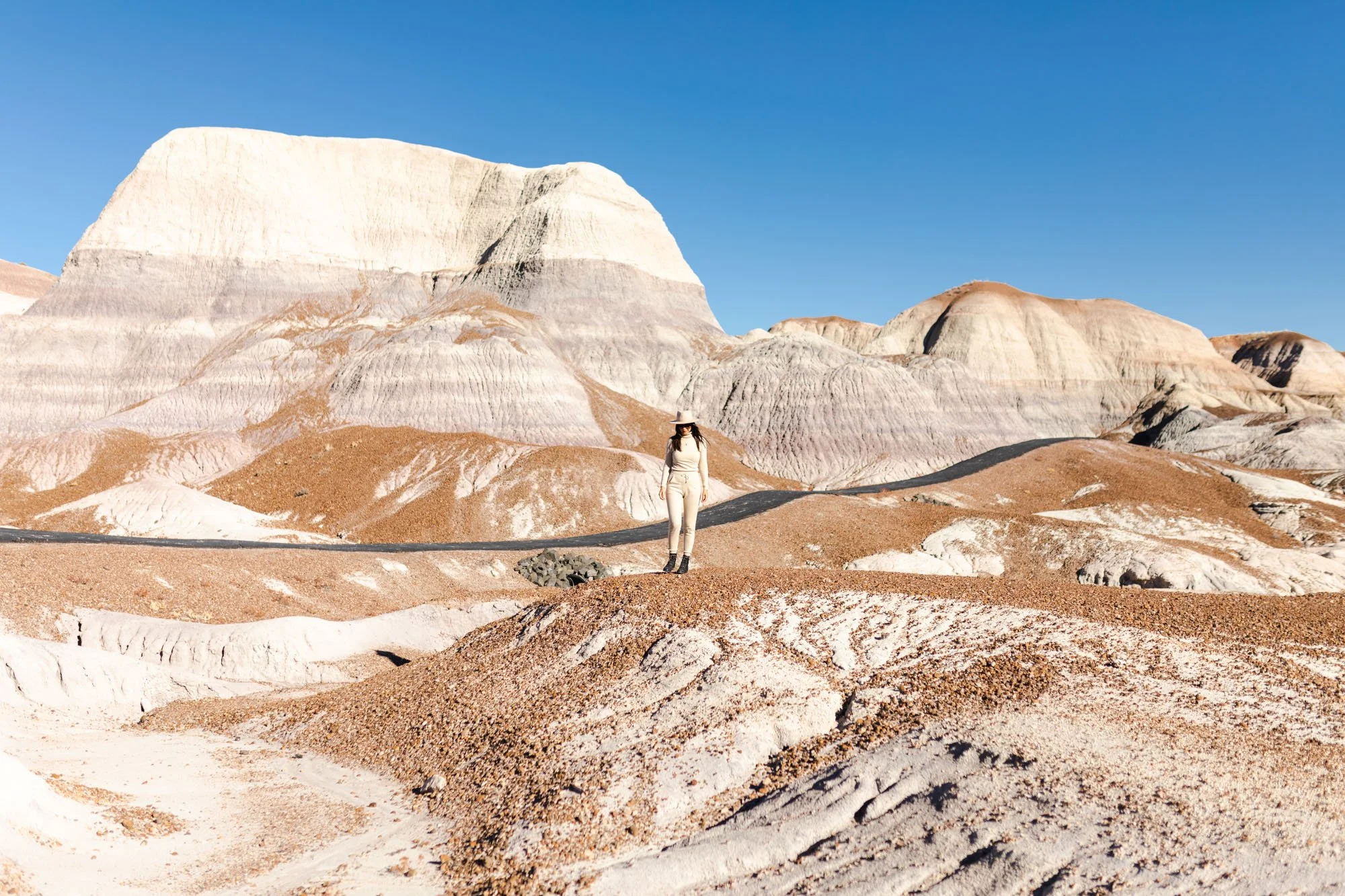 The Complete Guide to Petrified Forest National Park in November