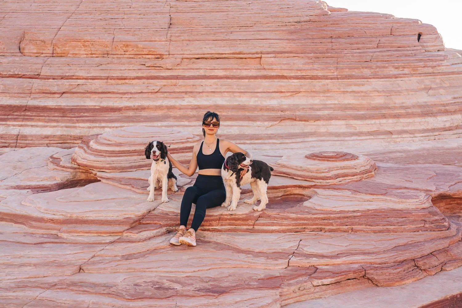 How To Spend One Day with Your Dog at Valley of Fire State Park 