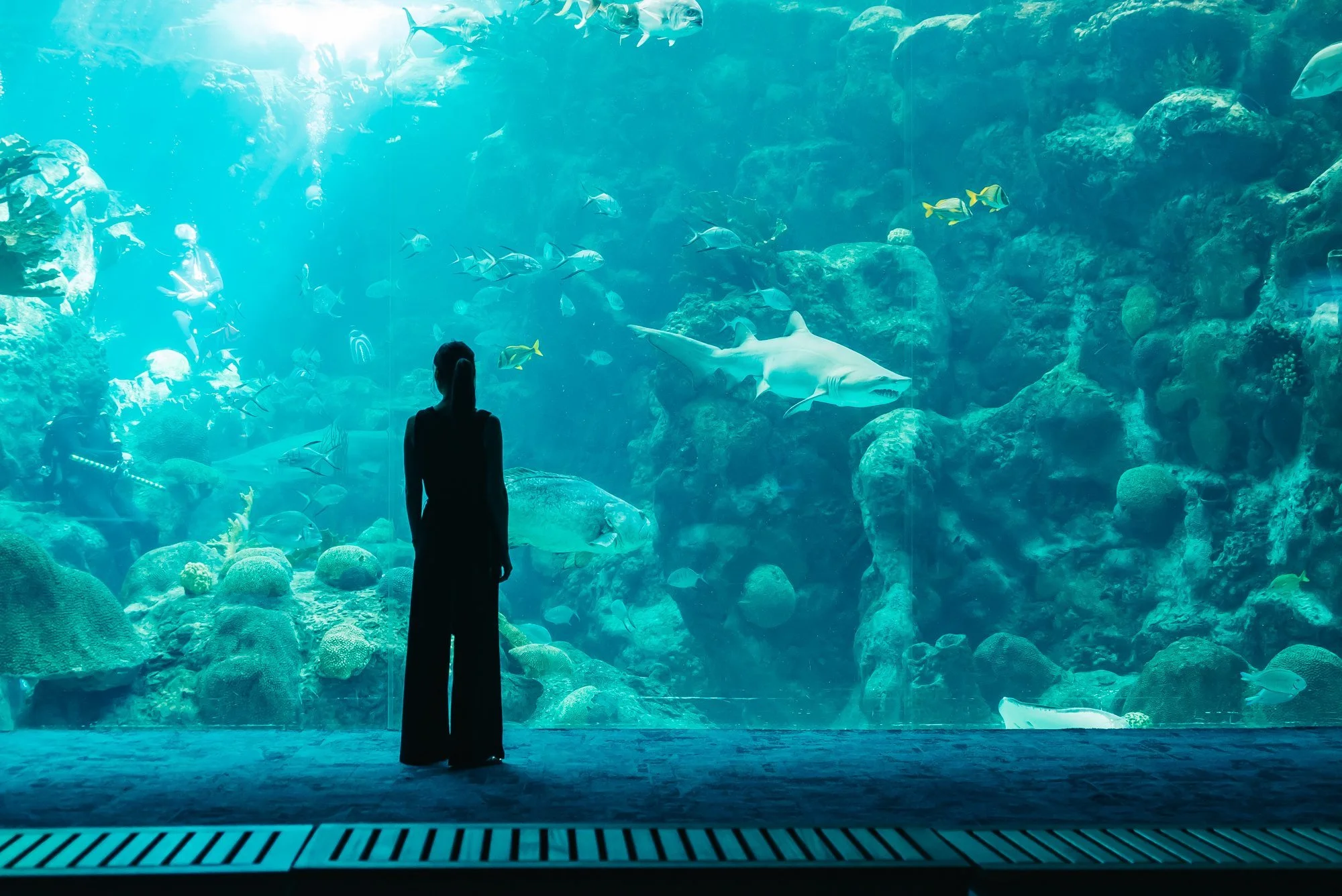 17 Fun Things To Do in Tampa Bay on a Rainy Day