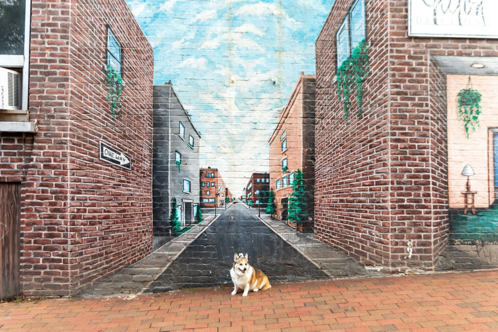 36 Hours in Downtown Asheville - Solo Trip to Dog-Friendly Places and More