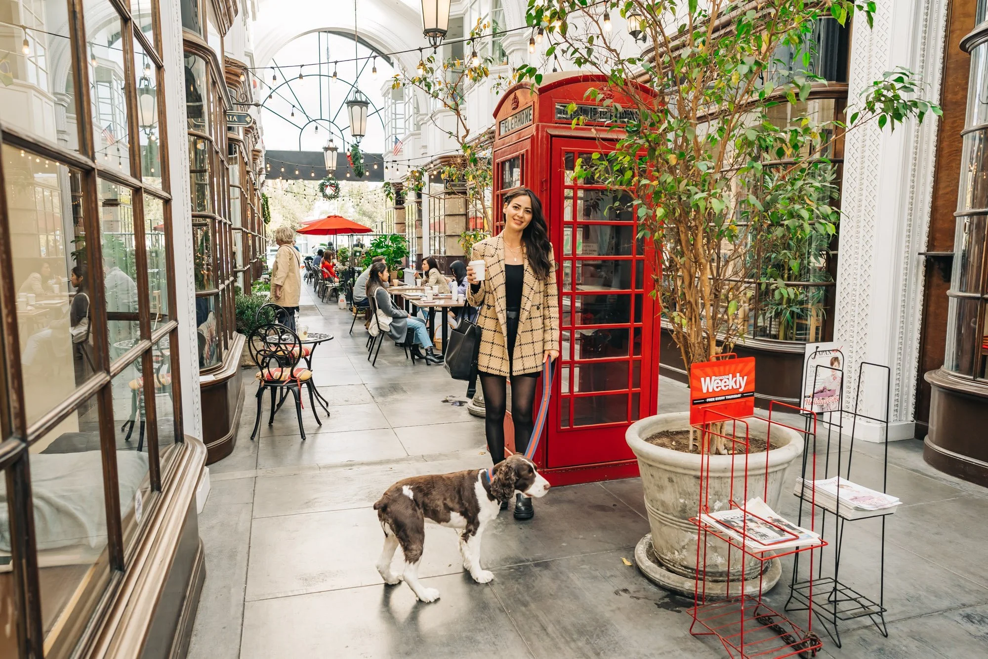5 Adorable Pet-Friendly Cafes in Pasadena, CA