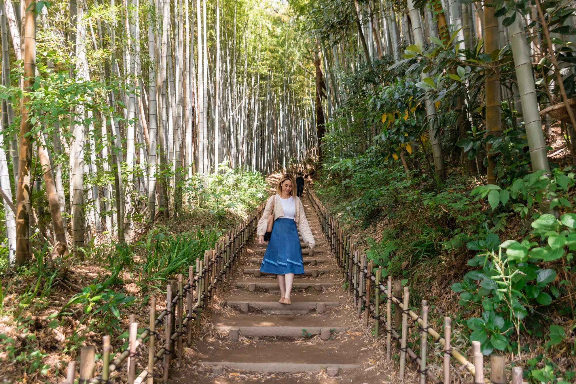 Hiyodorizaka Slope - A Samurai Bamboo Forest in Sakura City