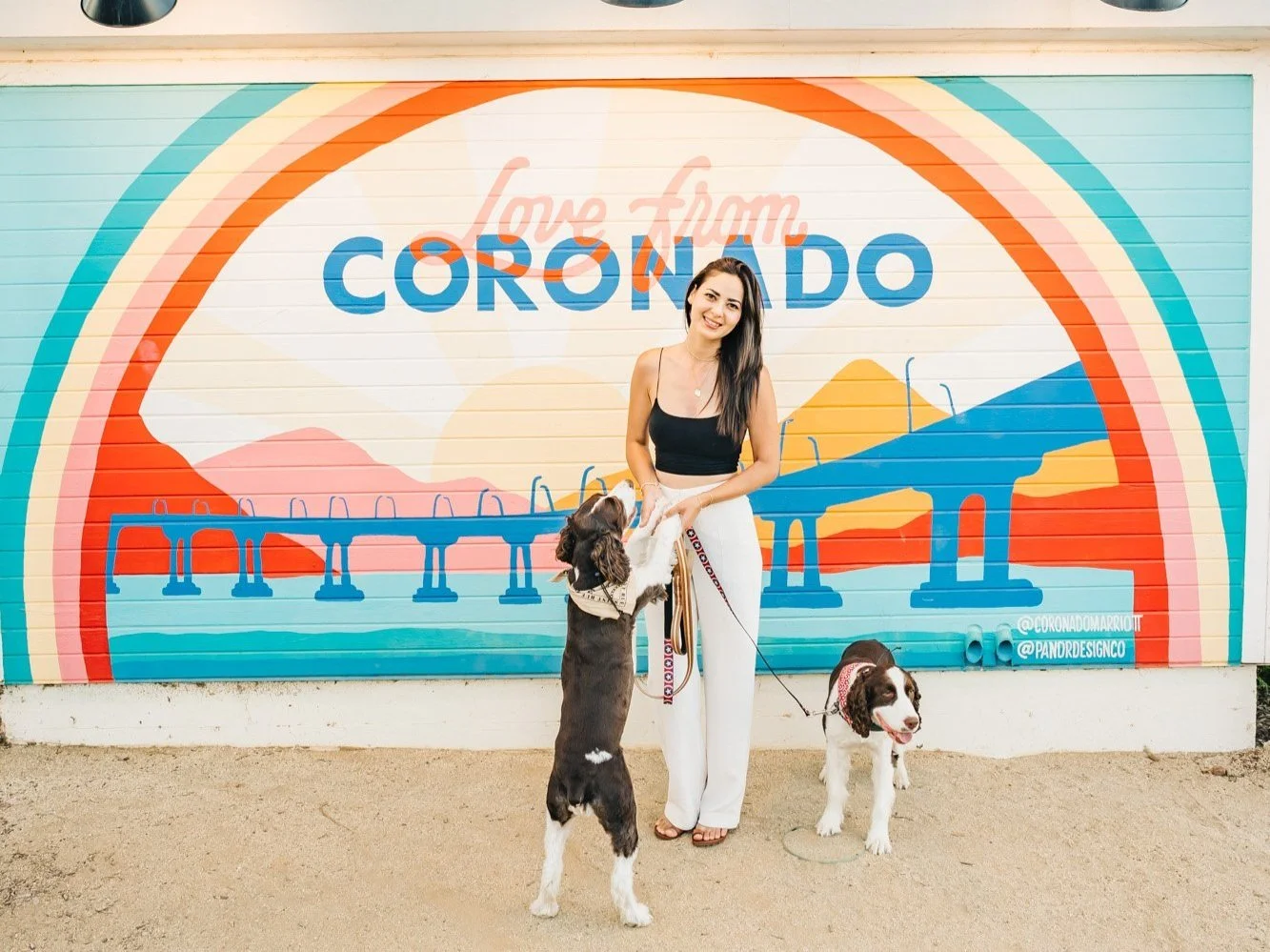 5 Pet-Friendly Things To Do On Coronado Island