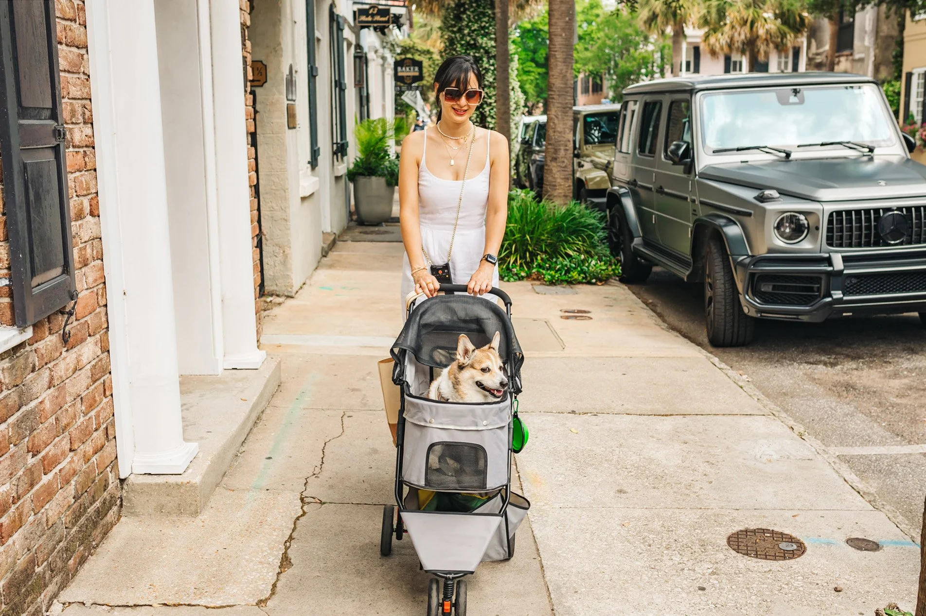 Explore Charleston with Your Pup: Dog-Friendly French Quarter Guide
