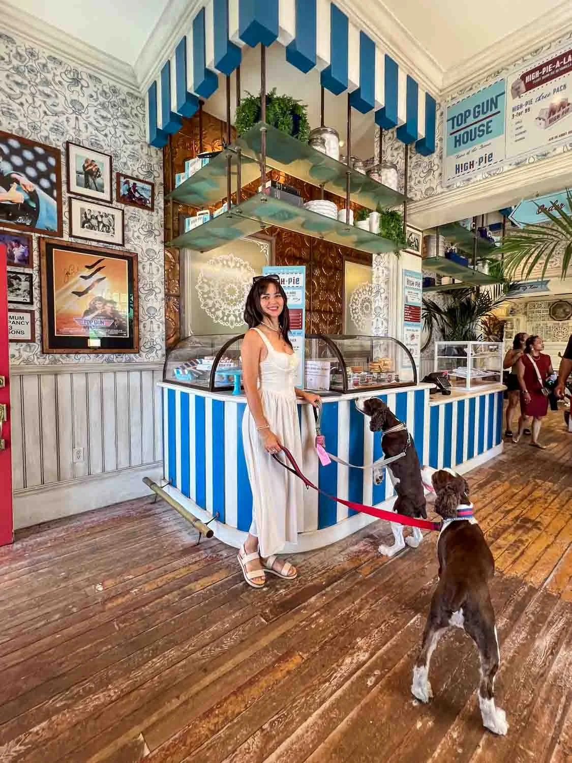Oceanside with Your Pup: Top Dog-Friendly Spots for a Weekend Getaway