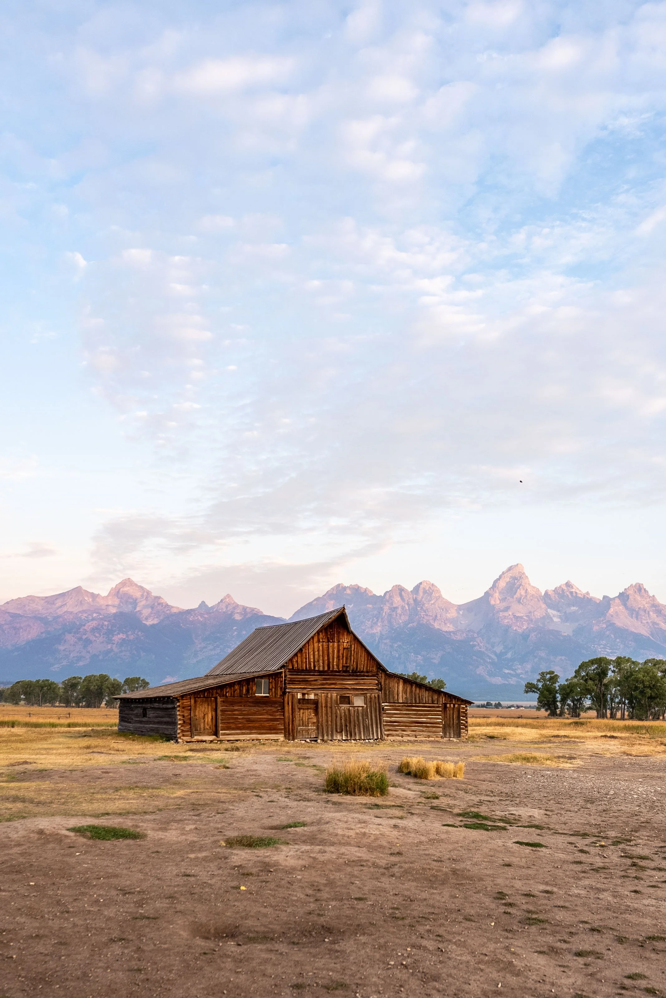 Mormon Row at sunrise