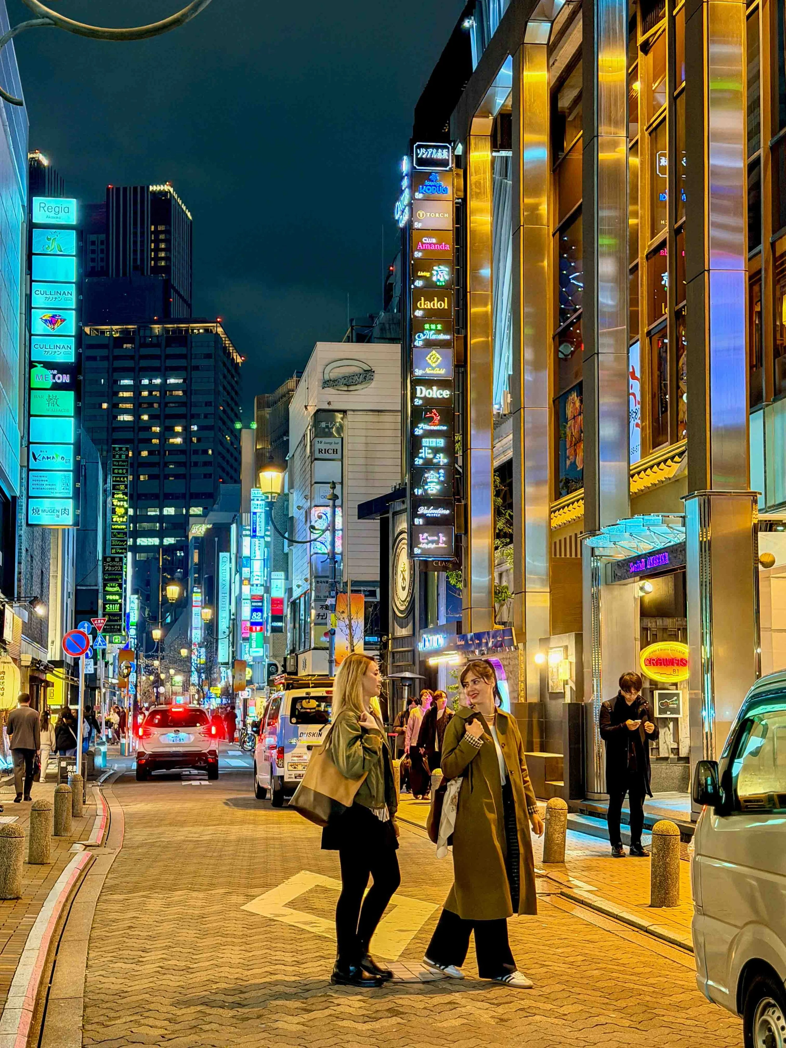 Akasaka Neighborhood Nightlife