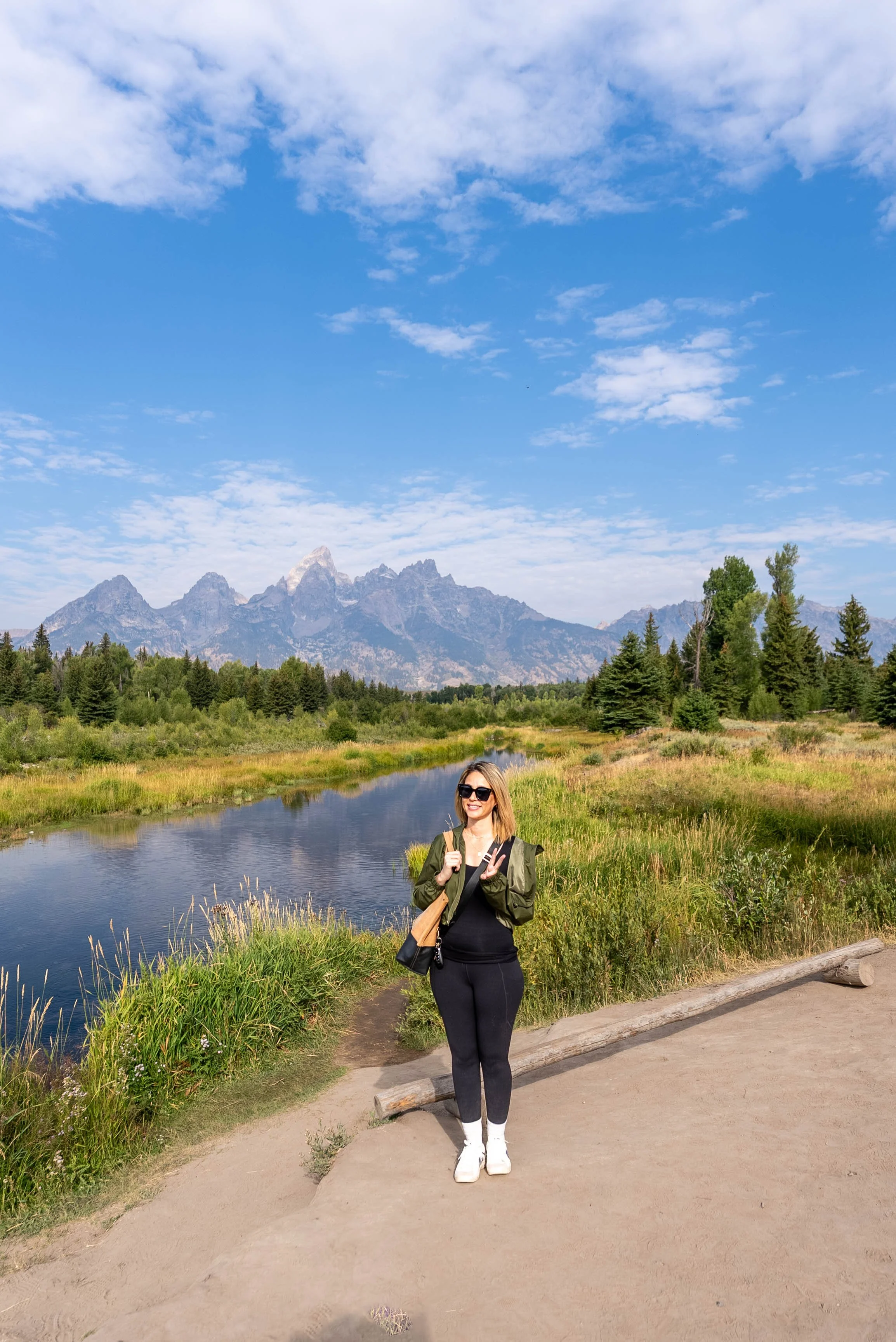 Schwabacher Landing