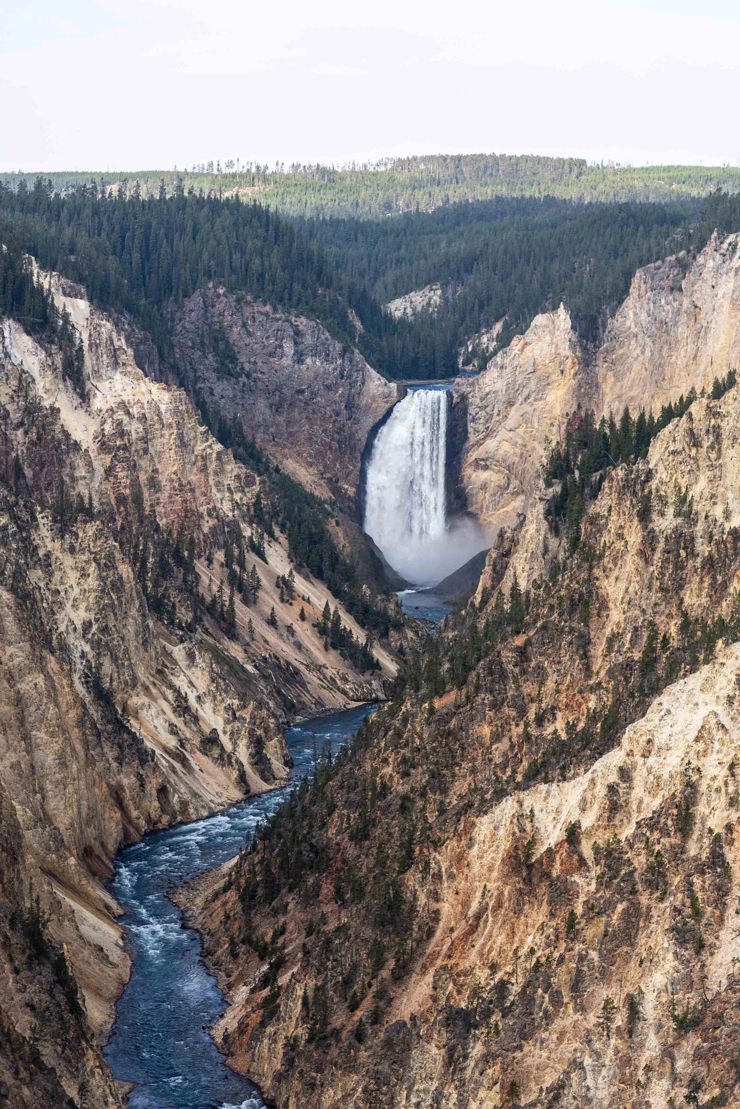 Lower Falls of the Yellowstone River