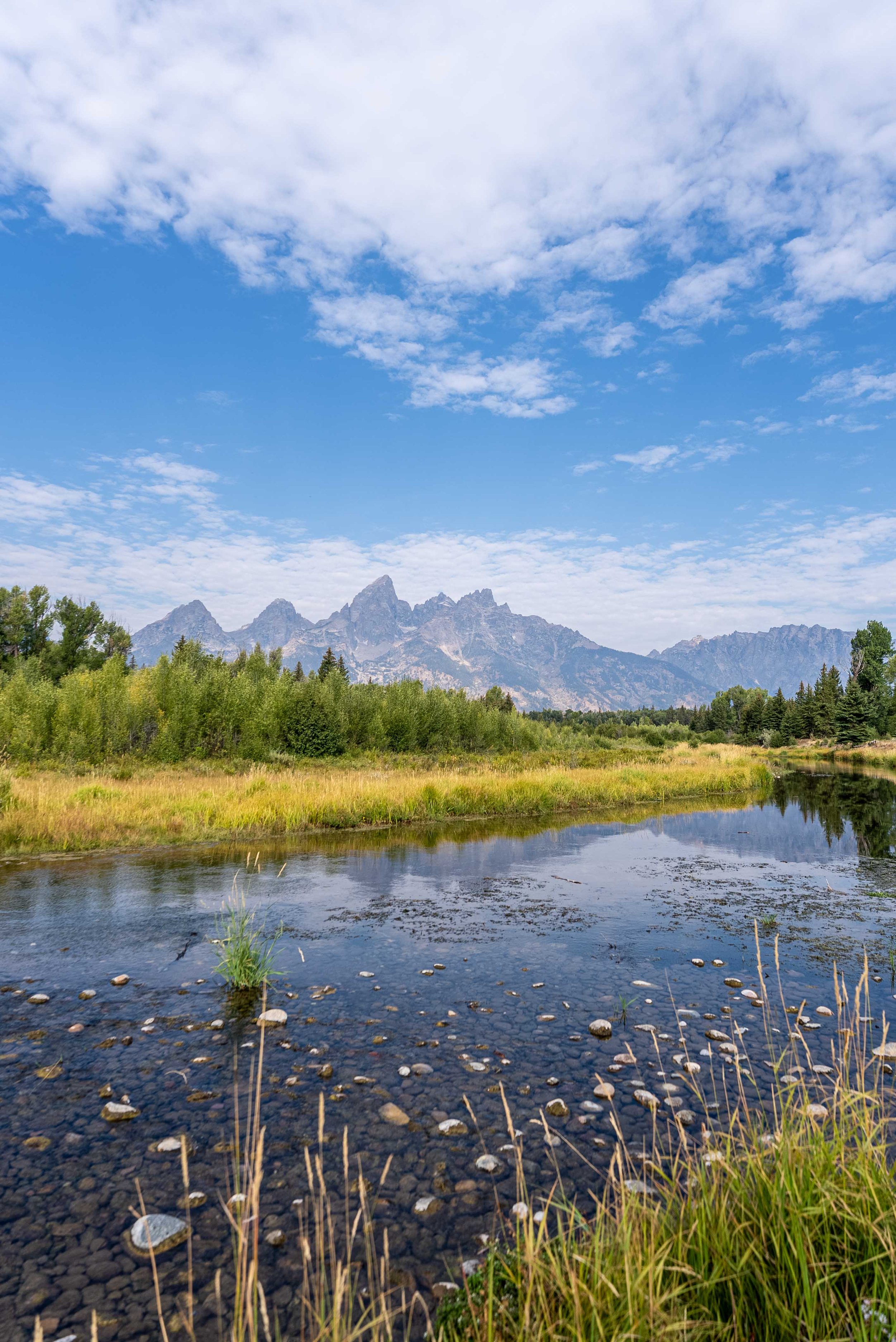 Schwabacher Landing Grand Teton National Park