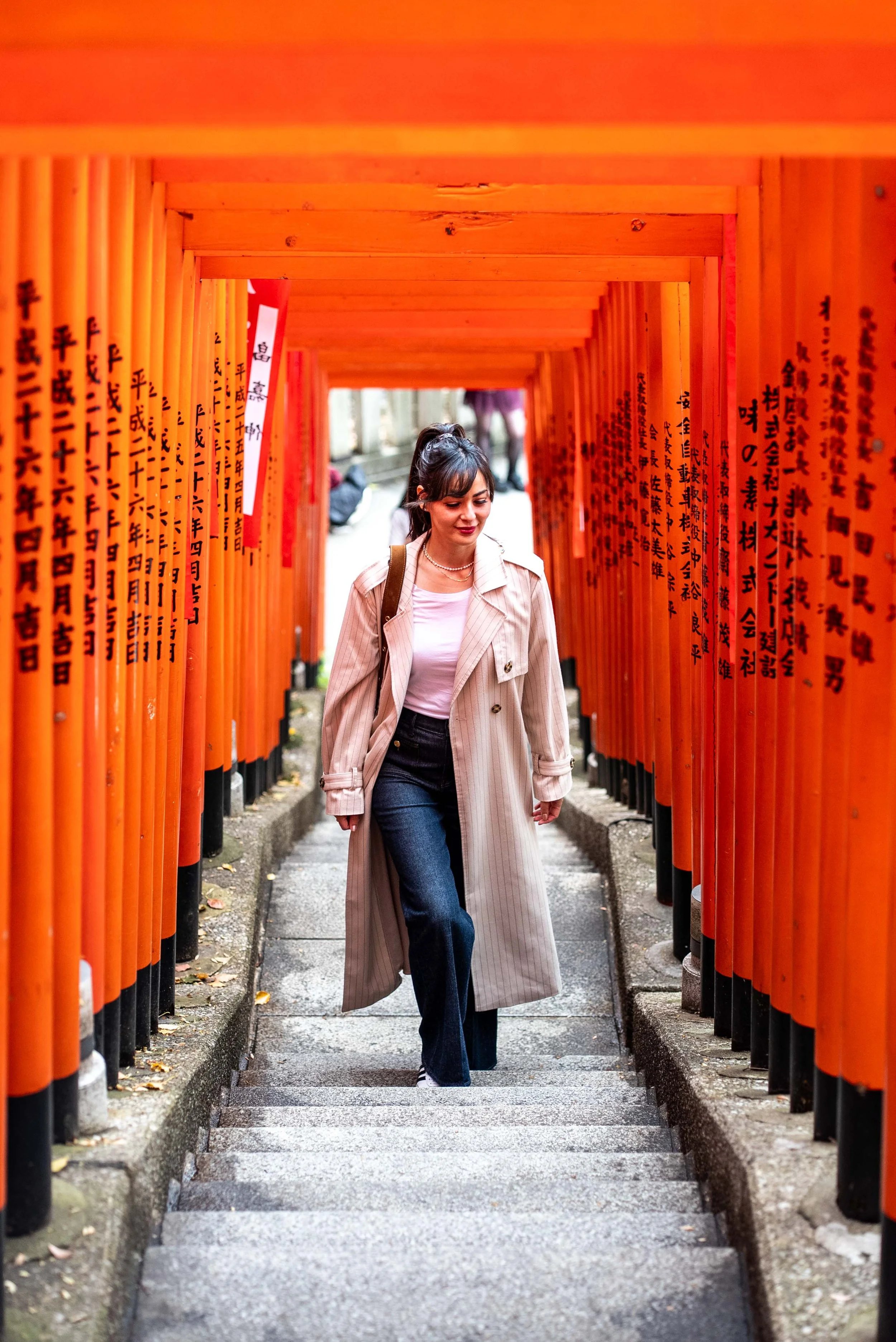 Akasaka Temple Red Gates