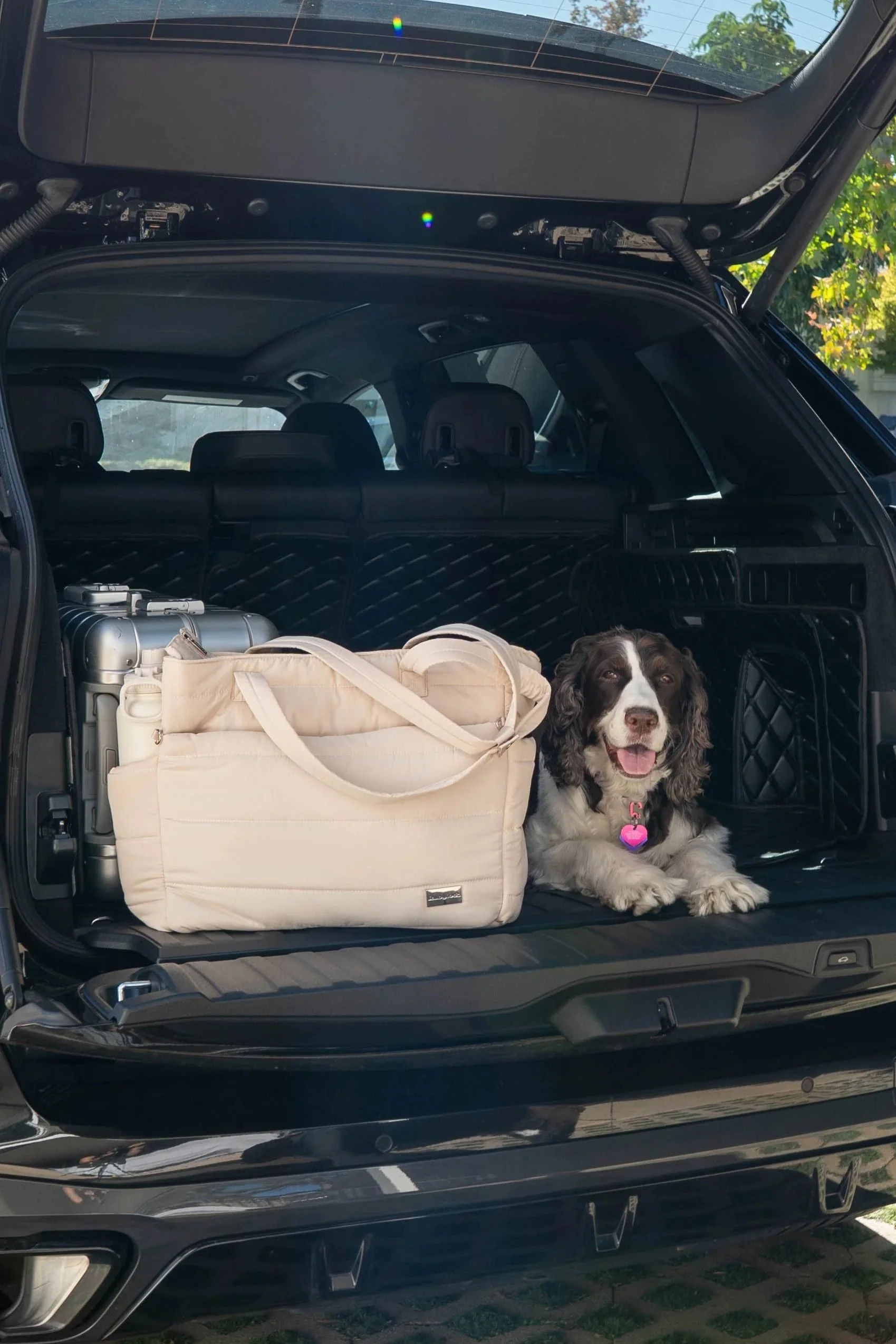 Rubyloo Puffer Dog Travel Bag