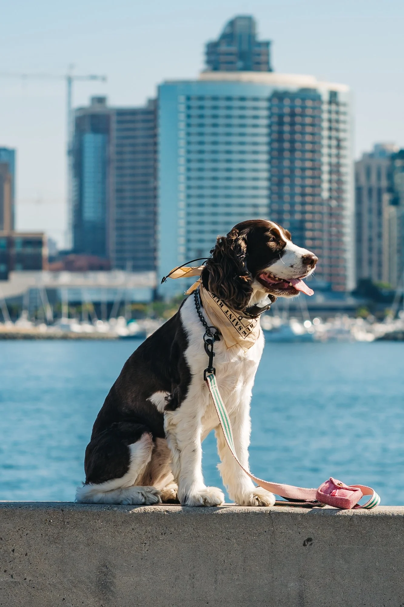 What To Wear in San Diego in July Travel Pockets