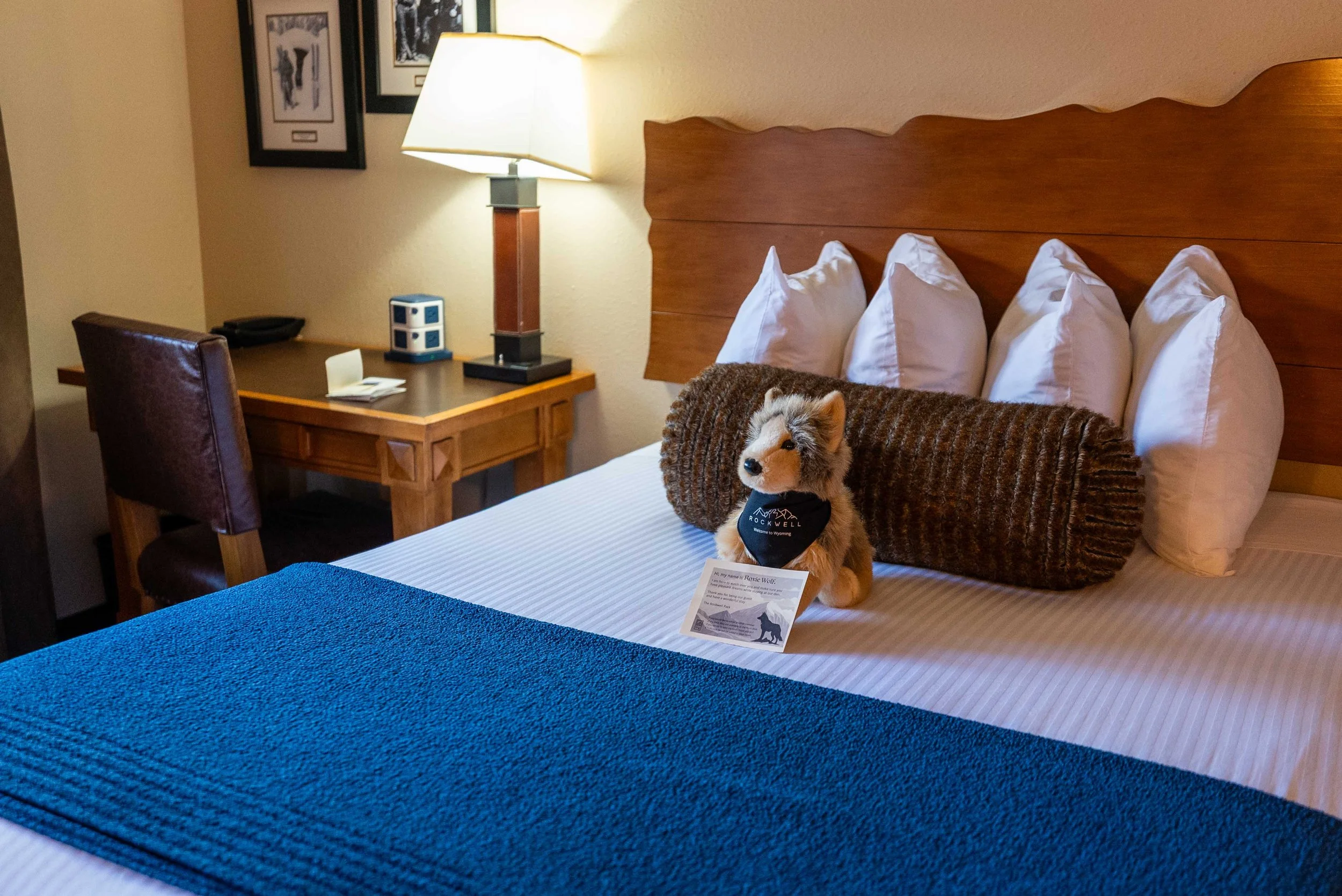 Queen bed with working desk and plenty of outlets