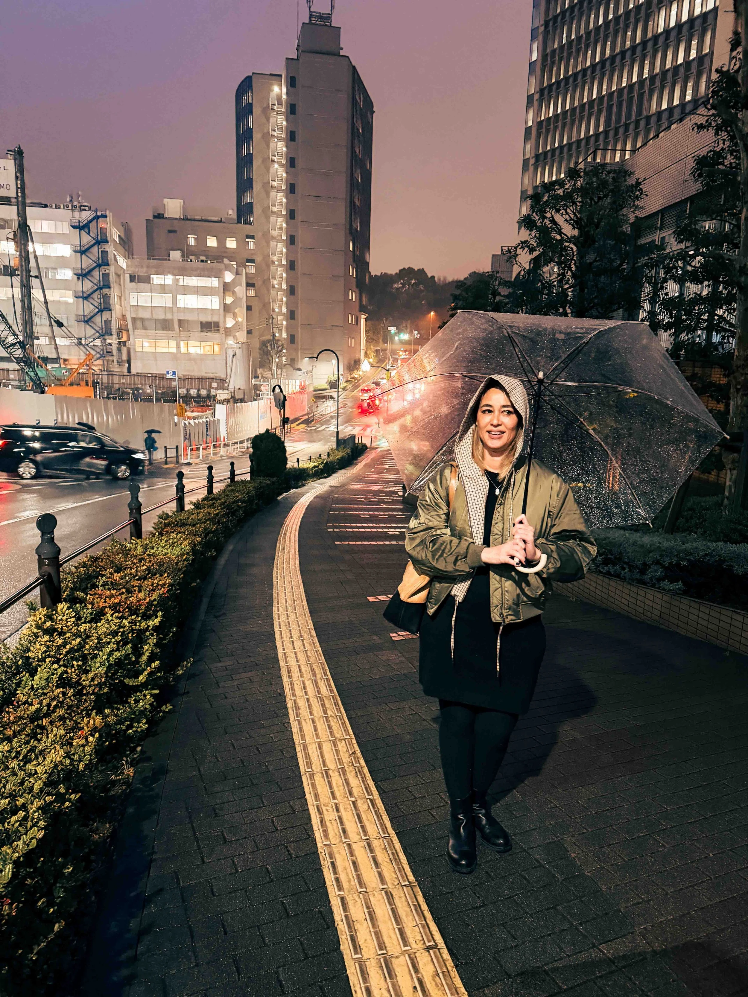 rain in tokyo at night