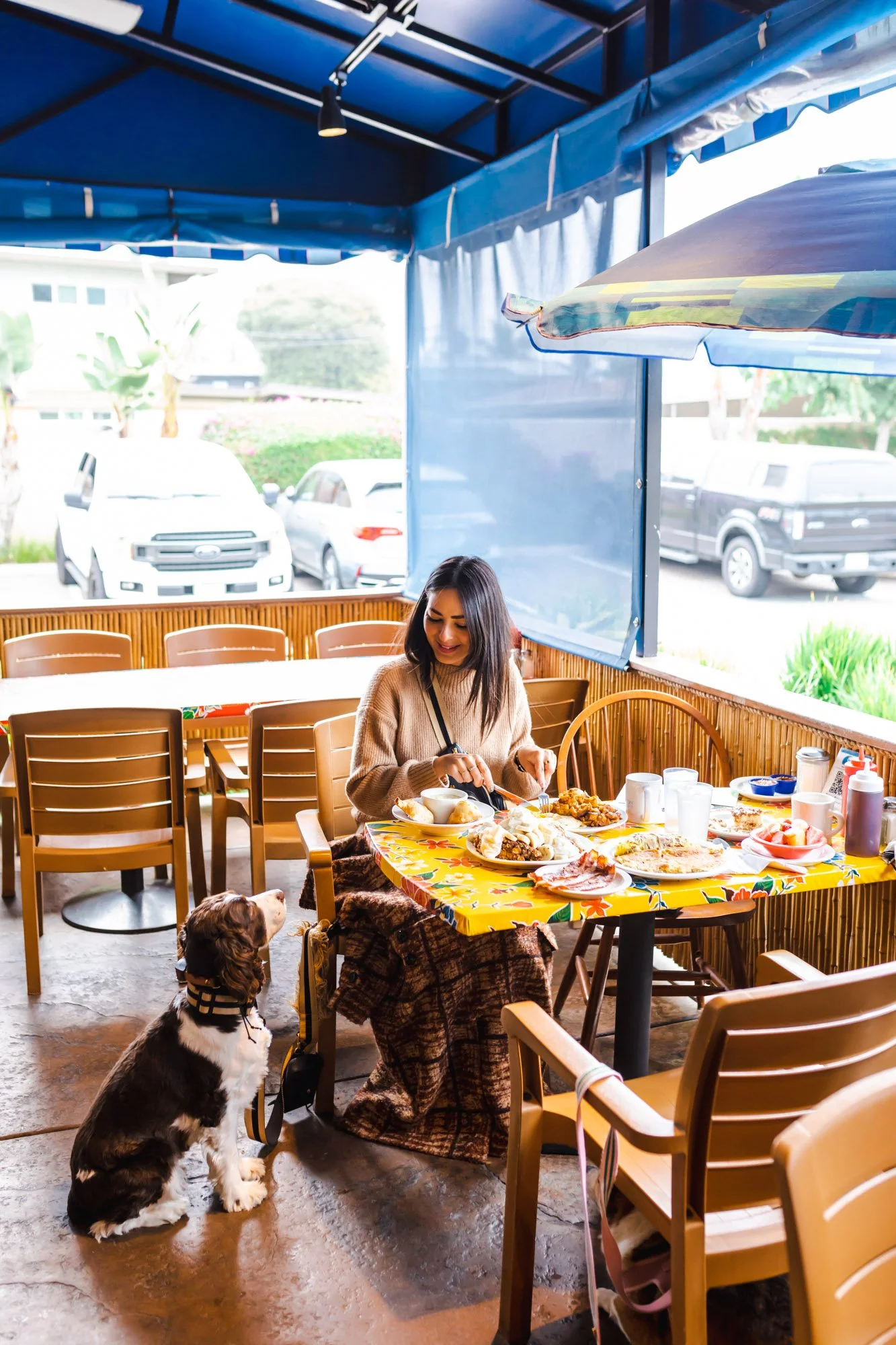 7 Super DogFriendly Restaurants, Cafes, and Bars in Oceanside, CA