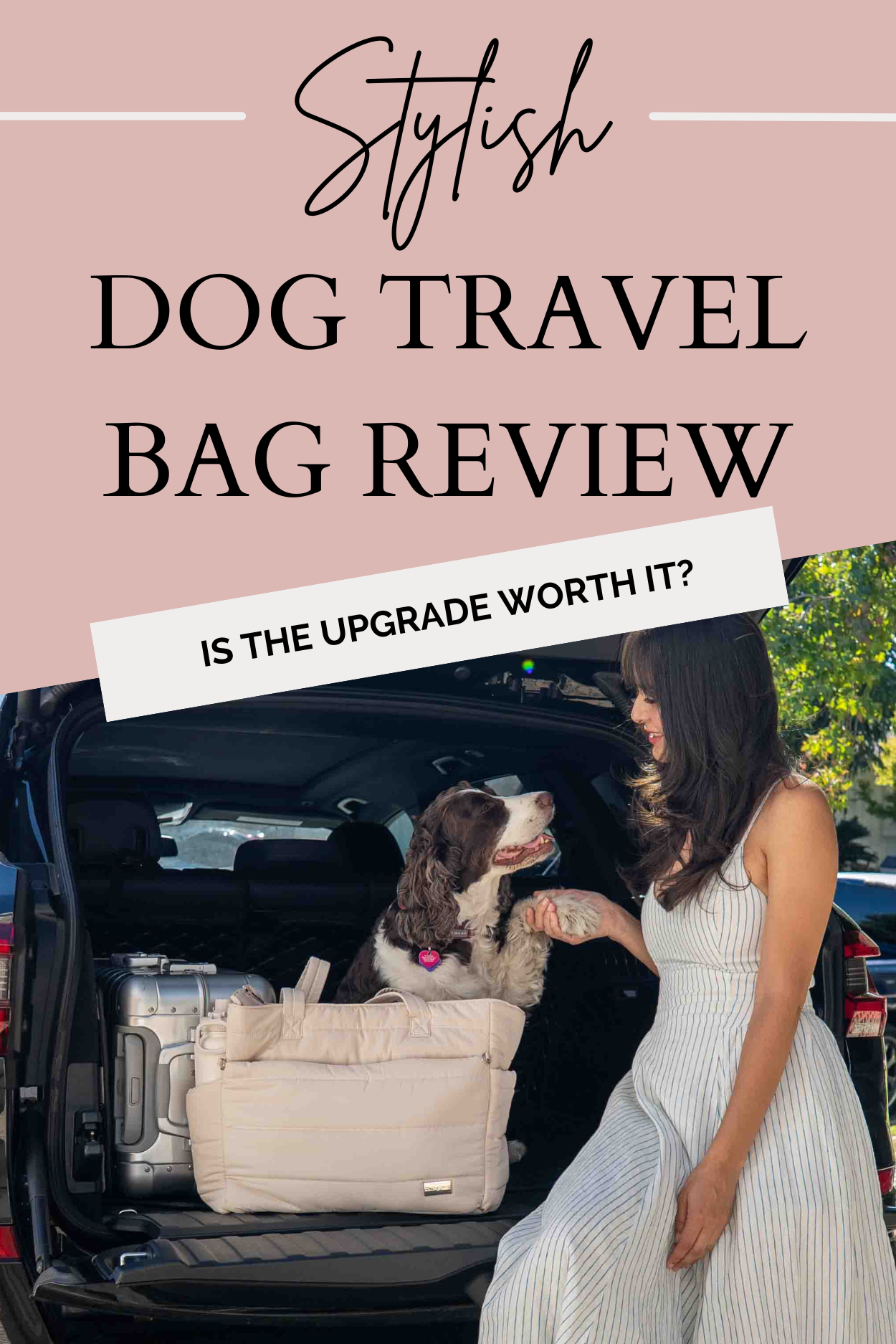 Stylish Dog Travel Bag