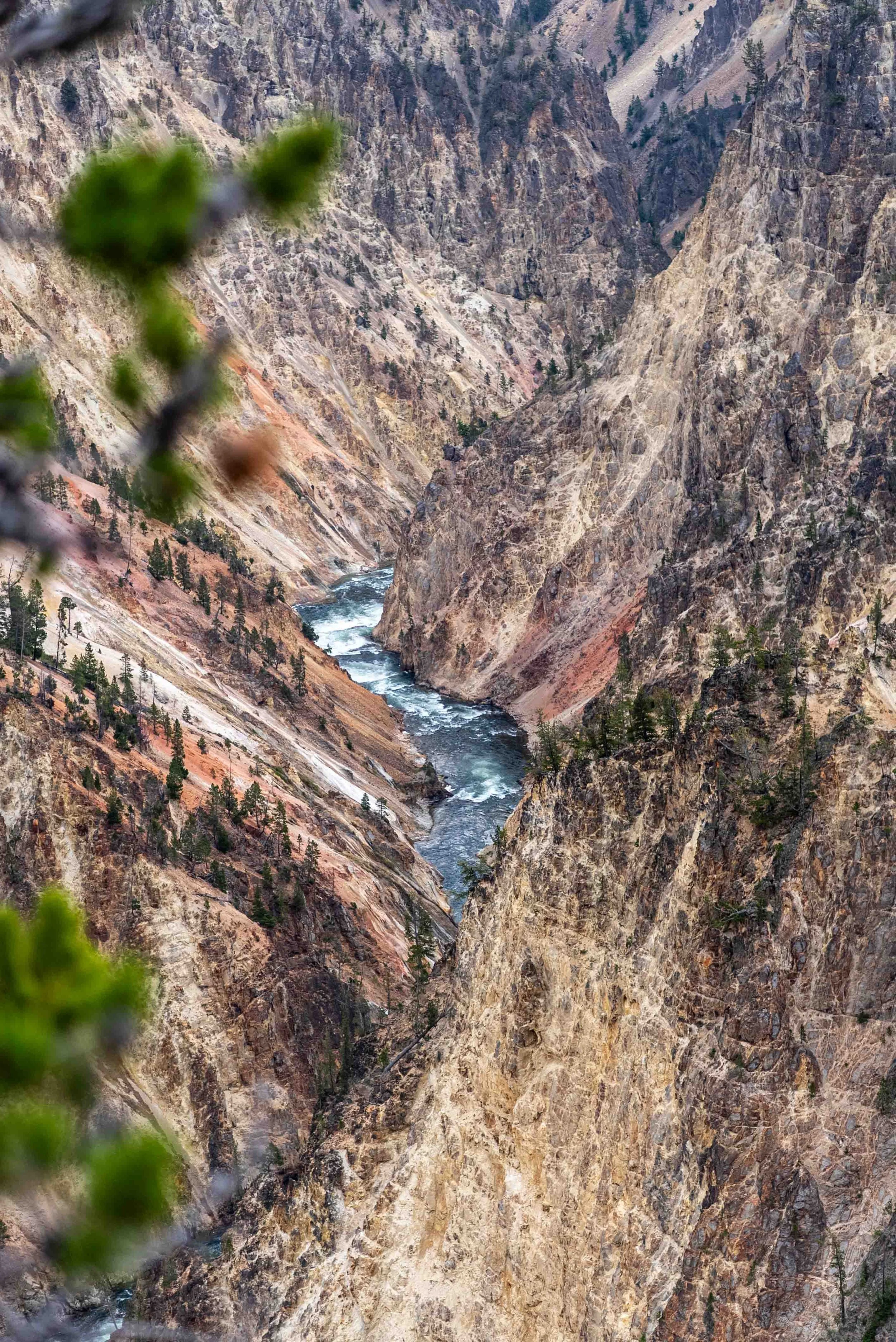 Yellowstone River