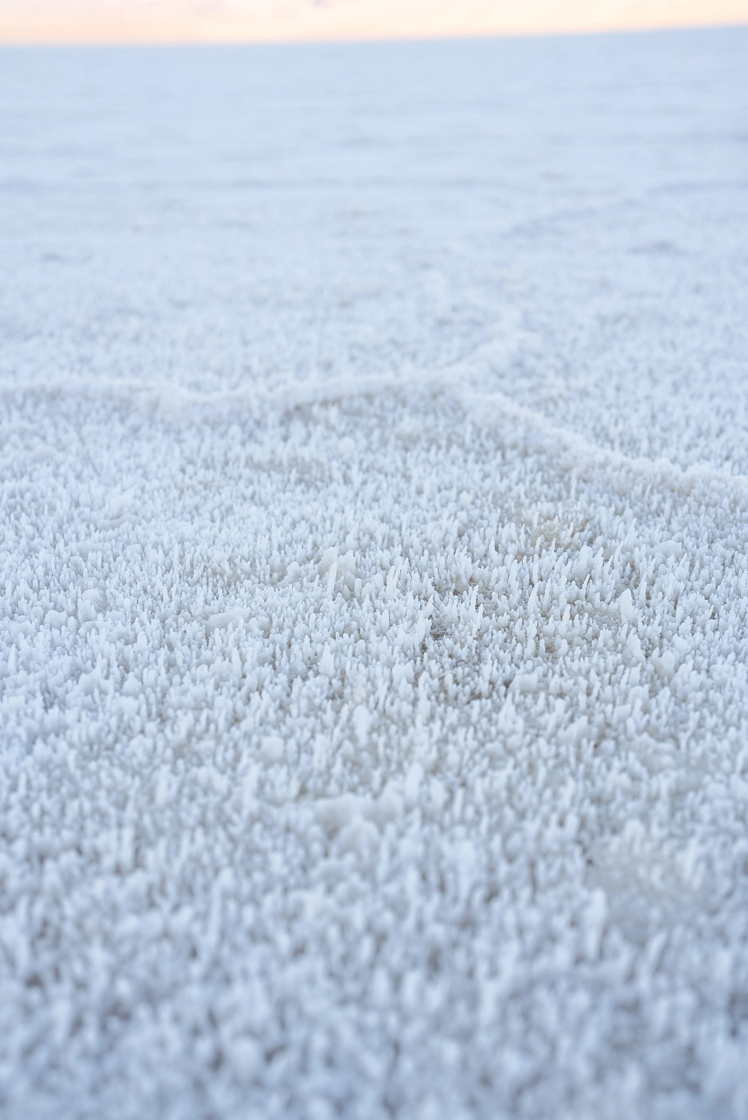 Badwater Basin up close