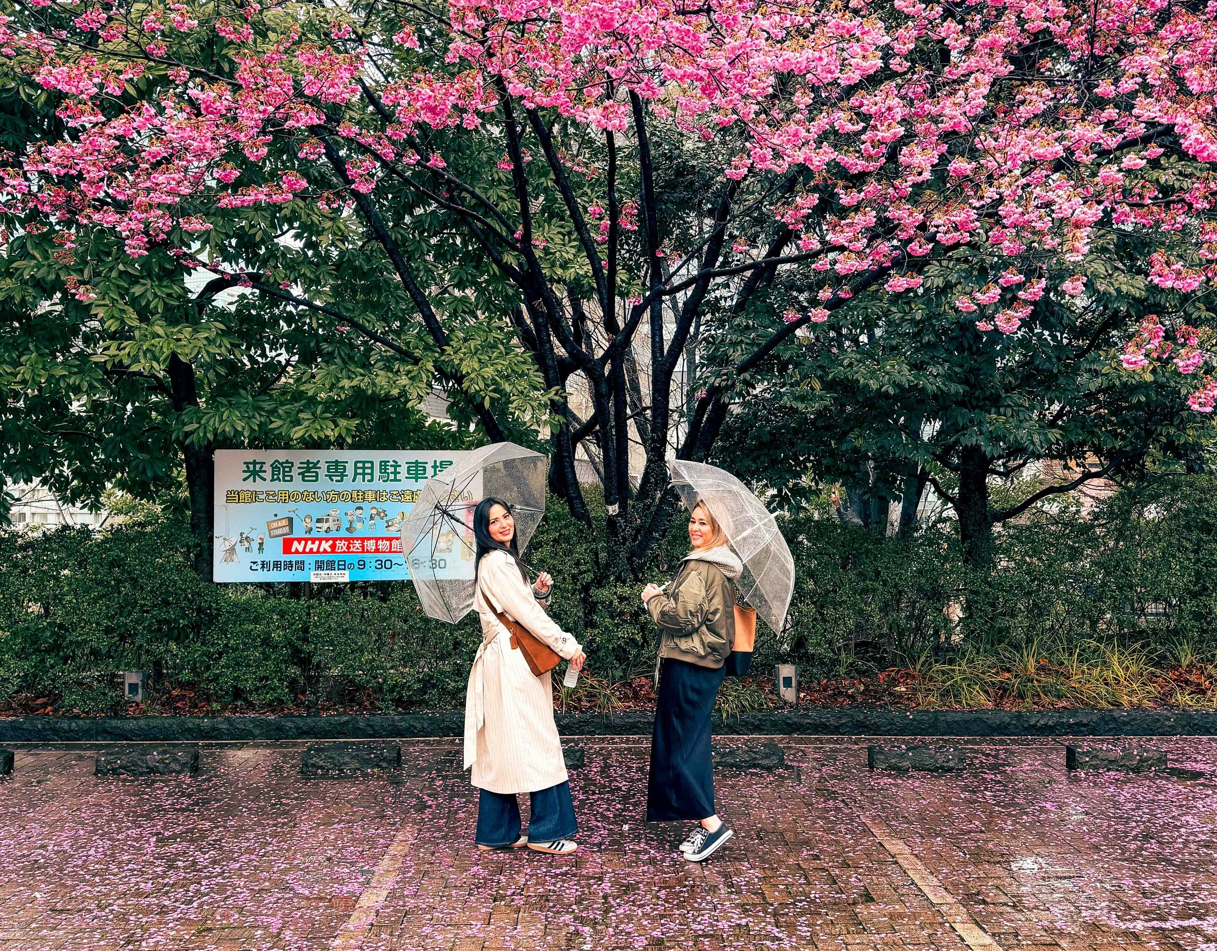 rain in tokyo during sakura season