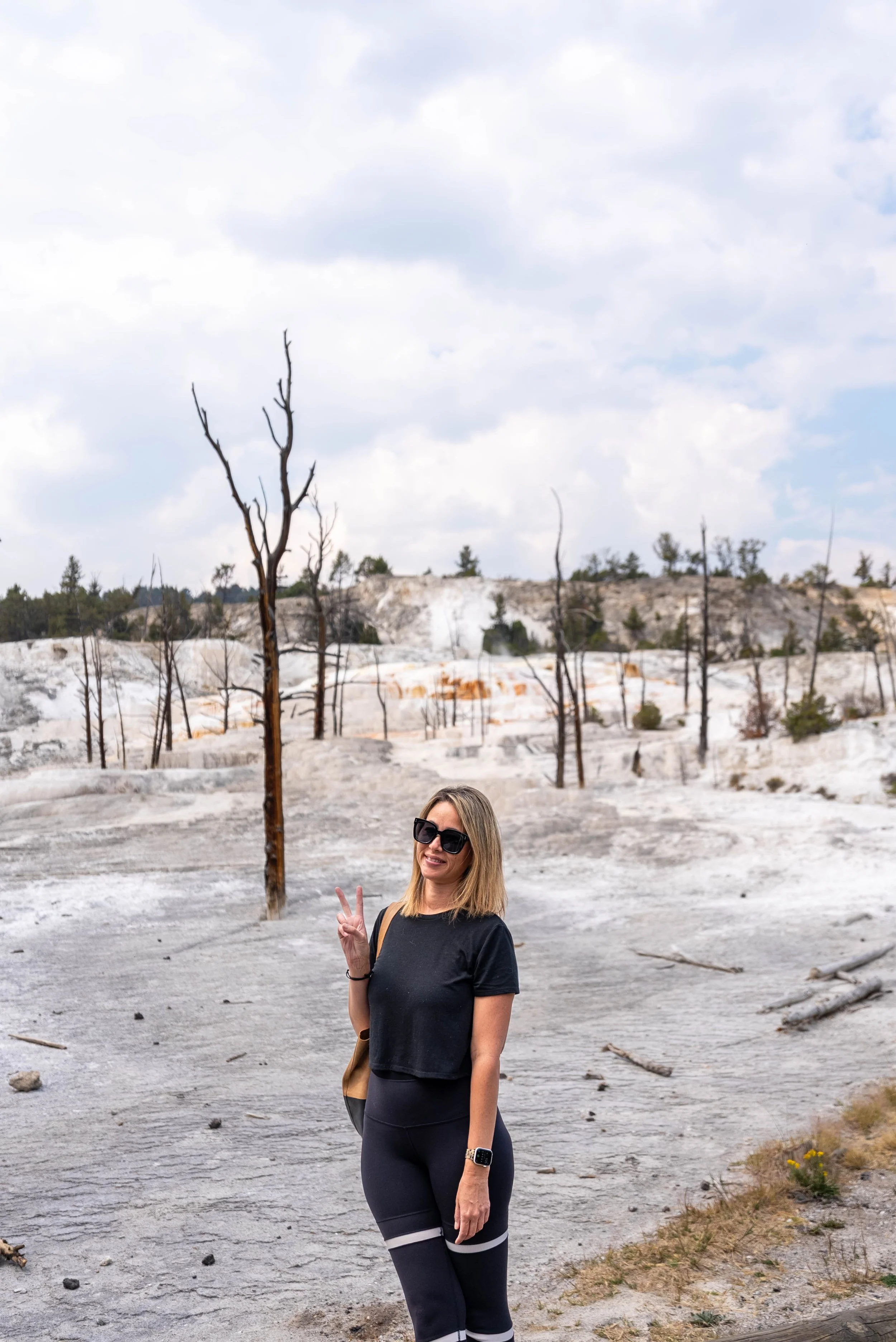 Mammoth Hot Springs Yellowstone National Park