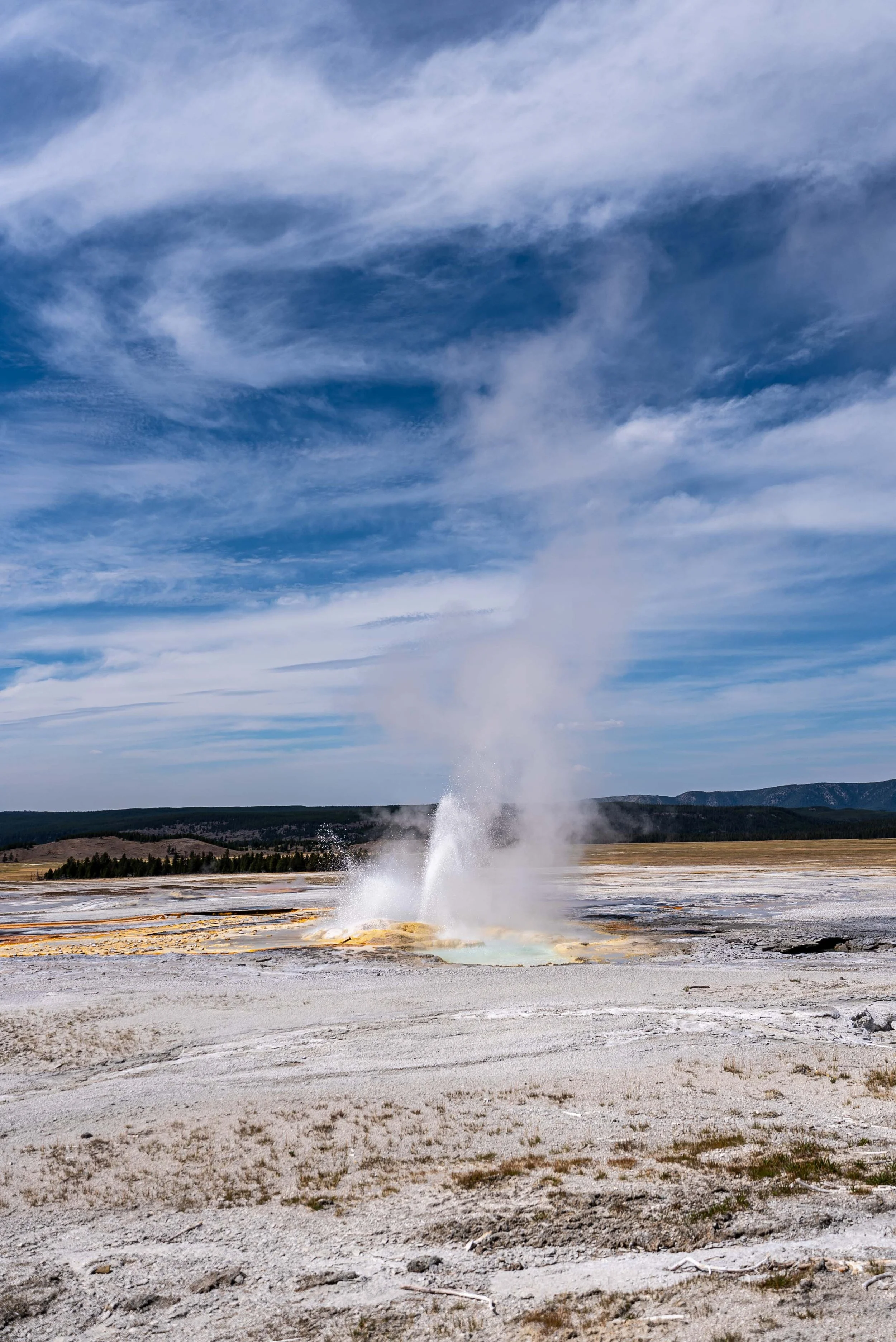 Spasm Geyser Yellowstone