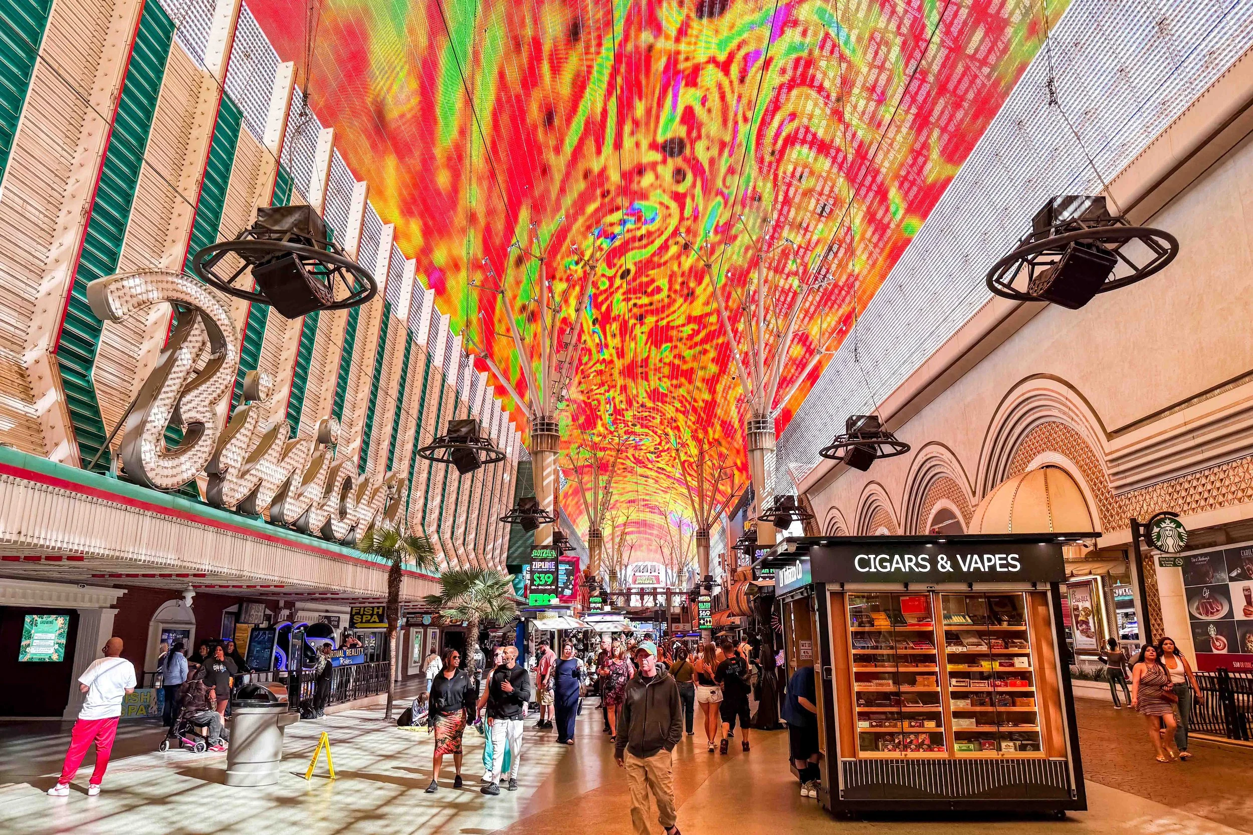 The Fremont Experience
