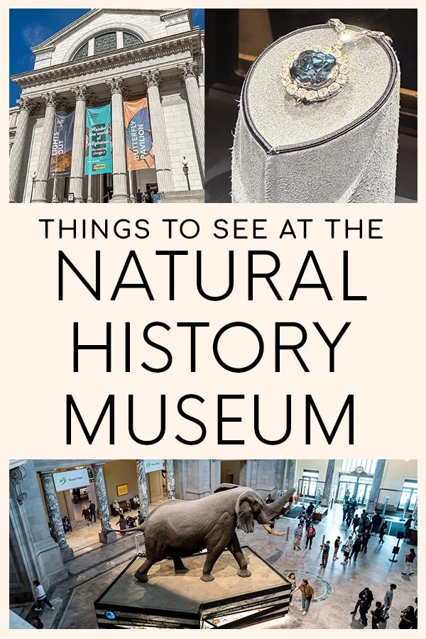 7 Things You Must See at the Smithsonian National Museum of Natural