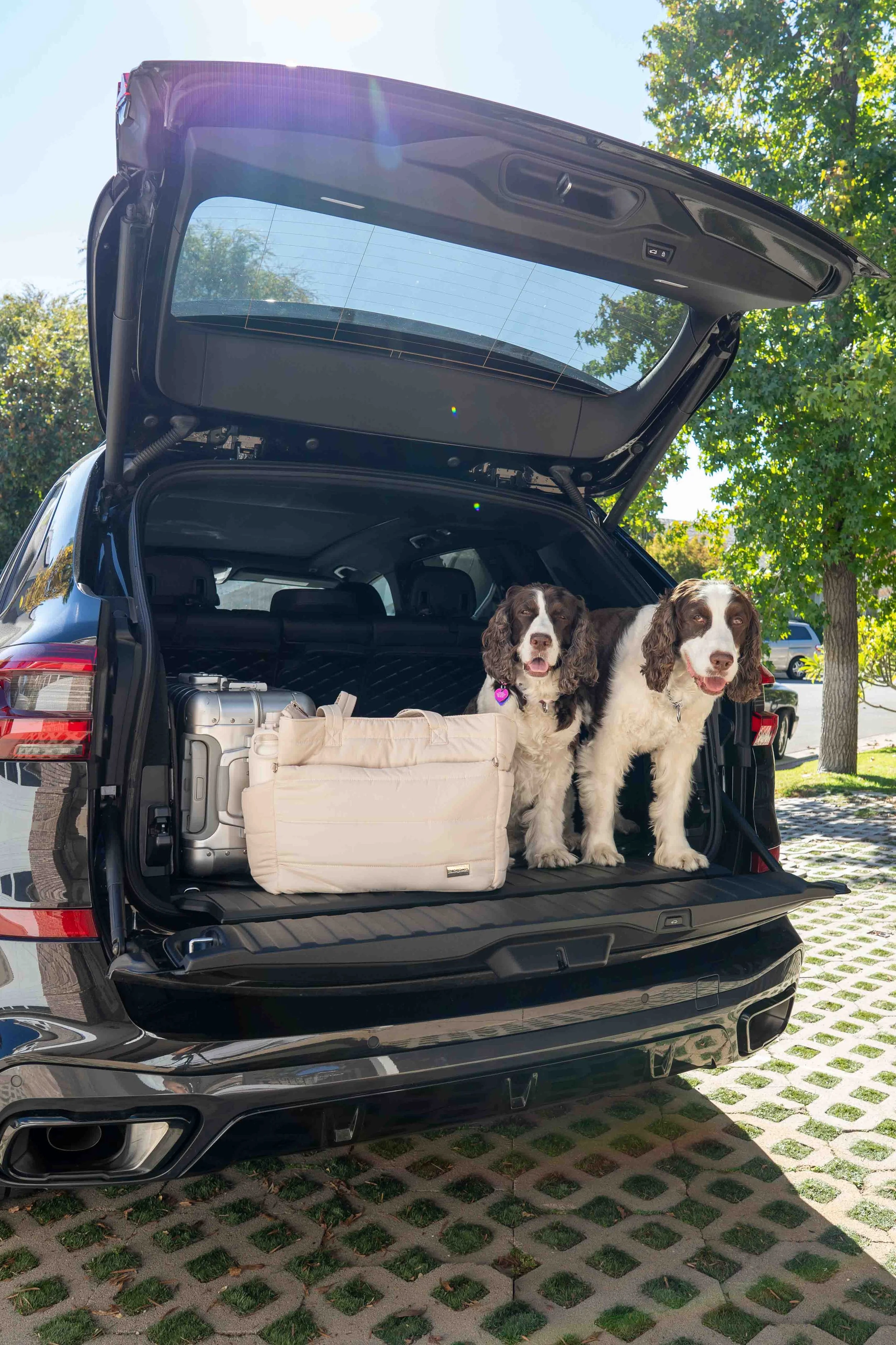 Rubyloo Puffer Tote in Car