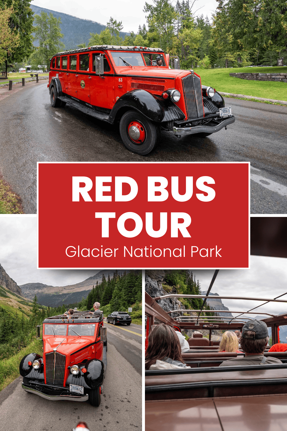 Red Bus Tour Glacier National Park Review