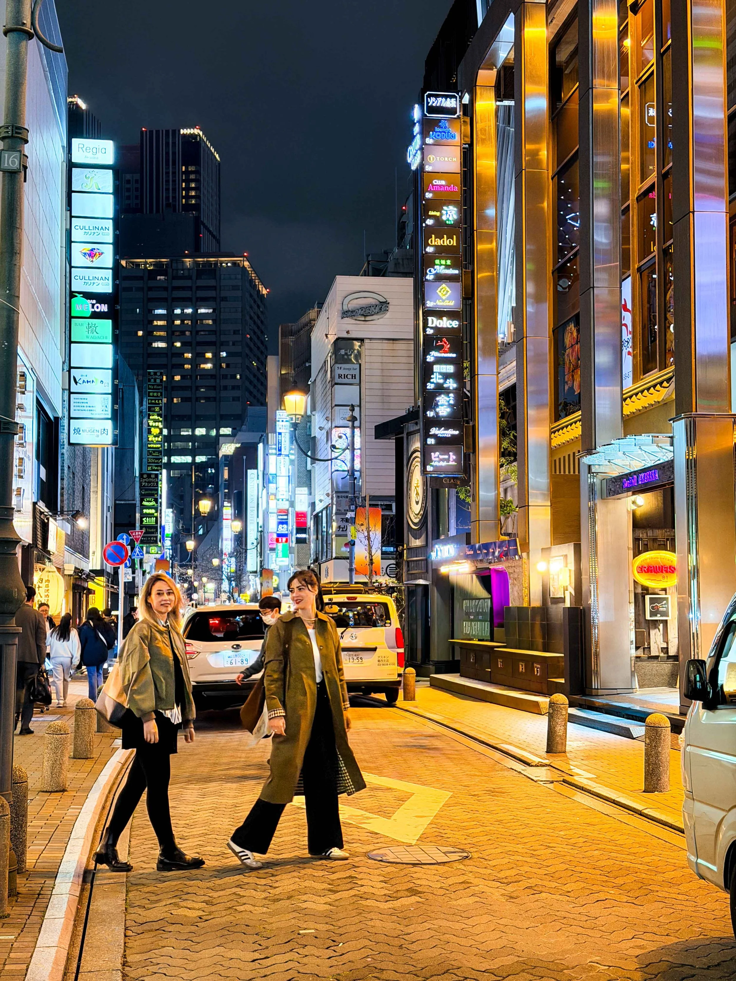 Akasaka nightlife City lights