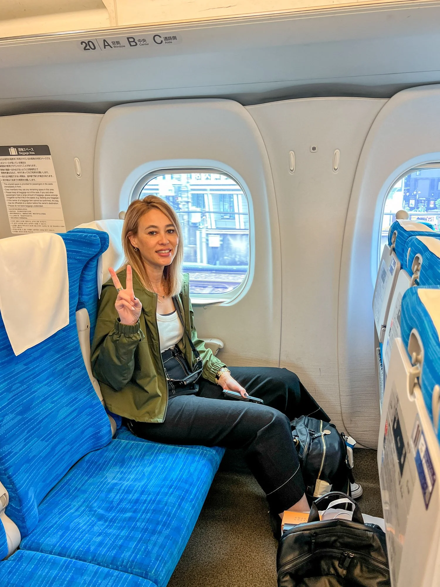 Riding the Shinkansen