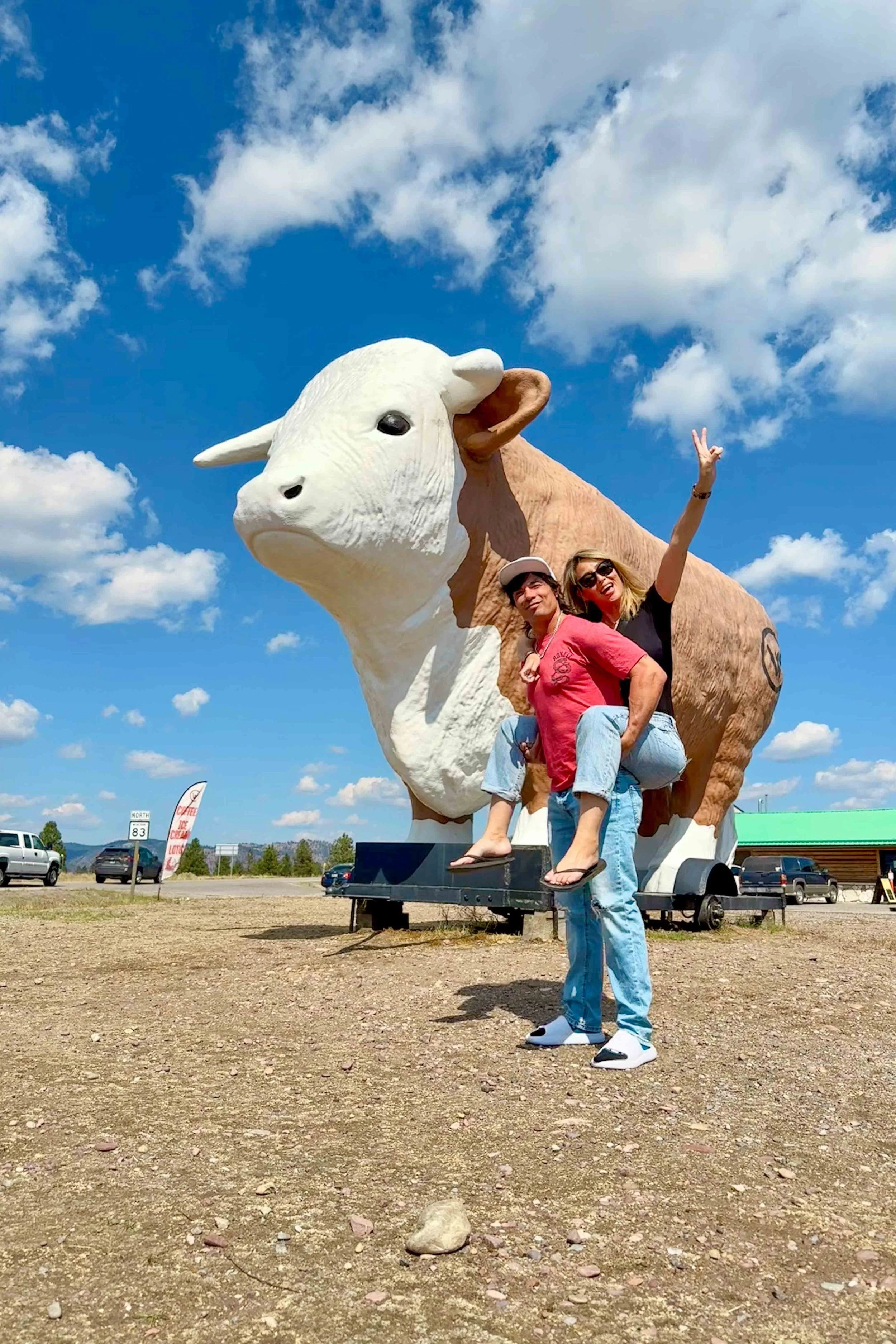 Cow Store 'N More cow statue