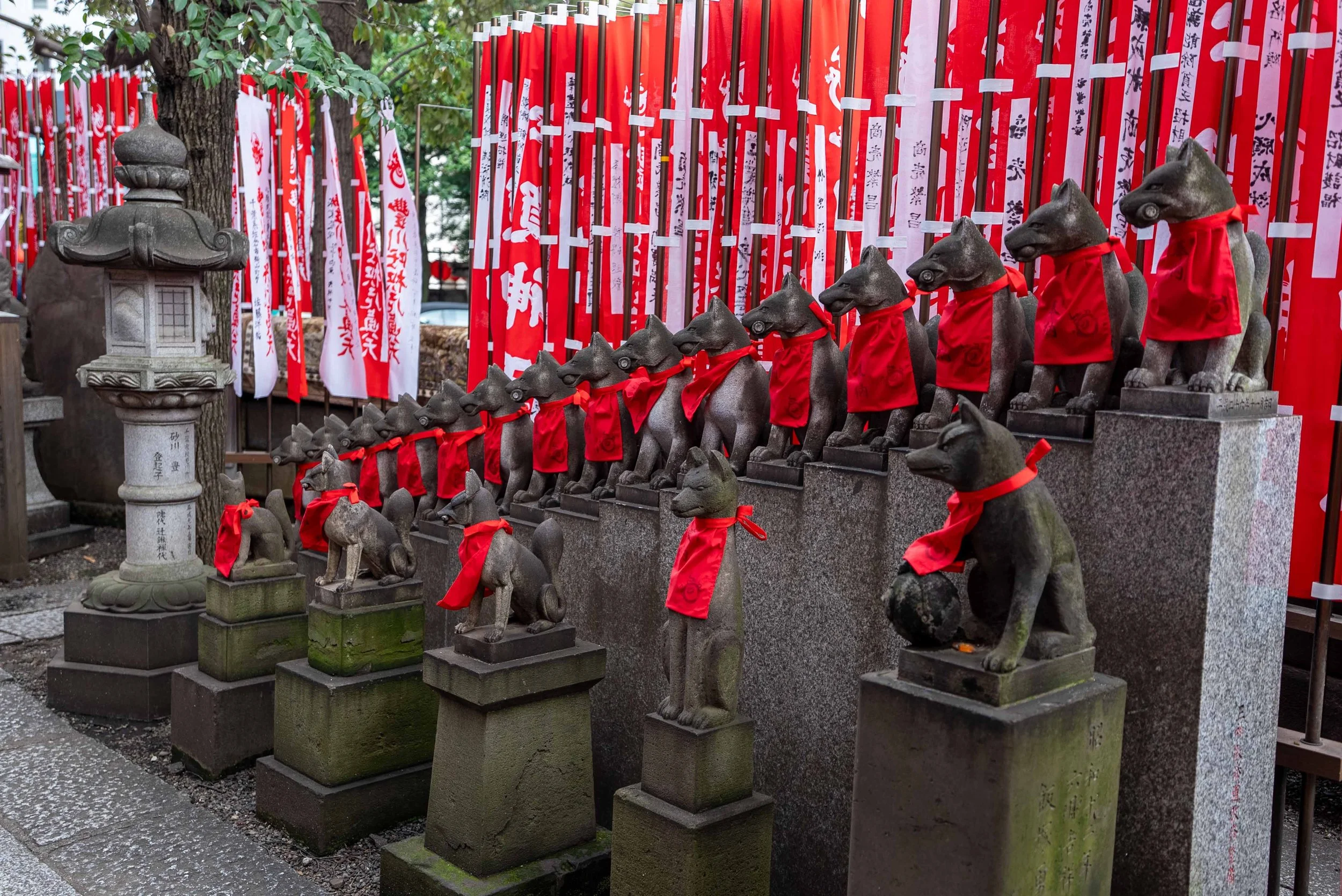 Row of fox statues