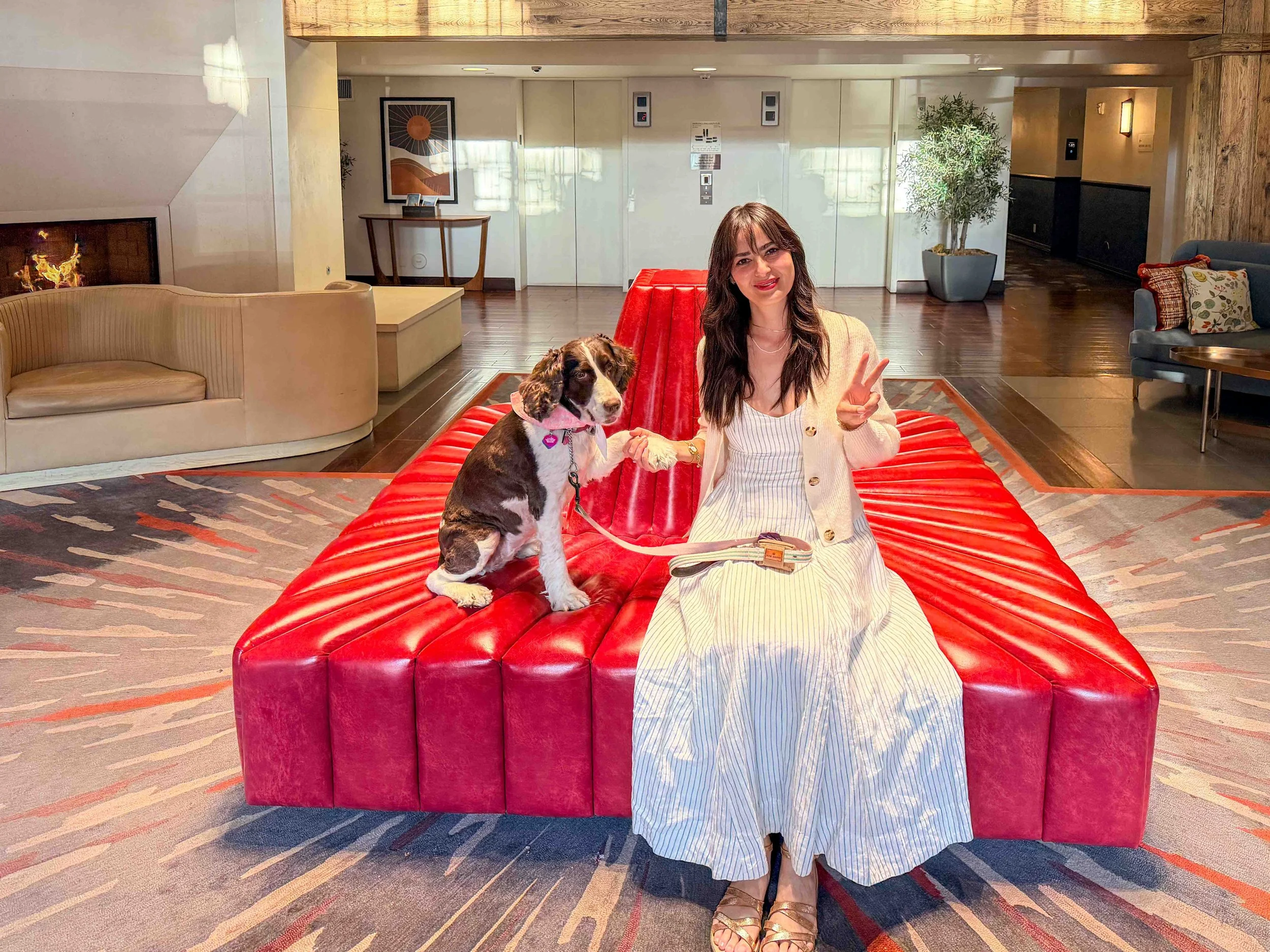 Corque hotel red lobby chair