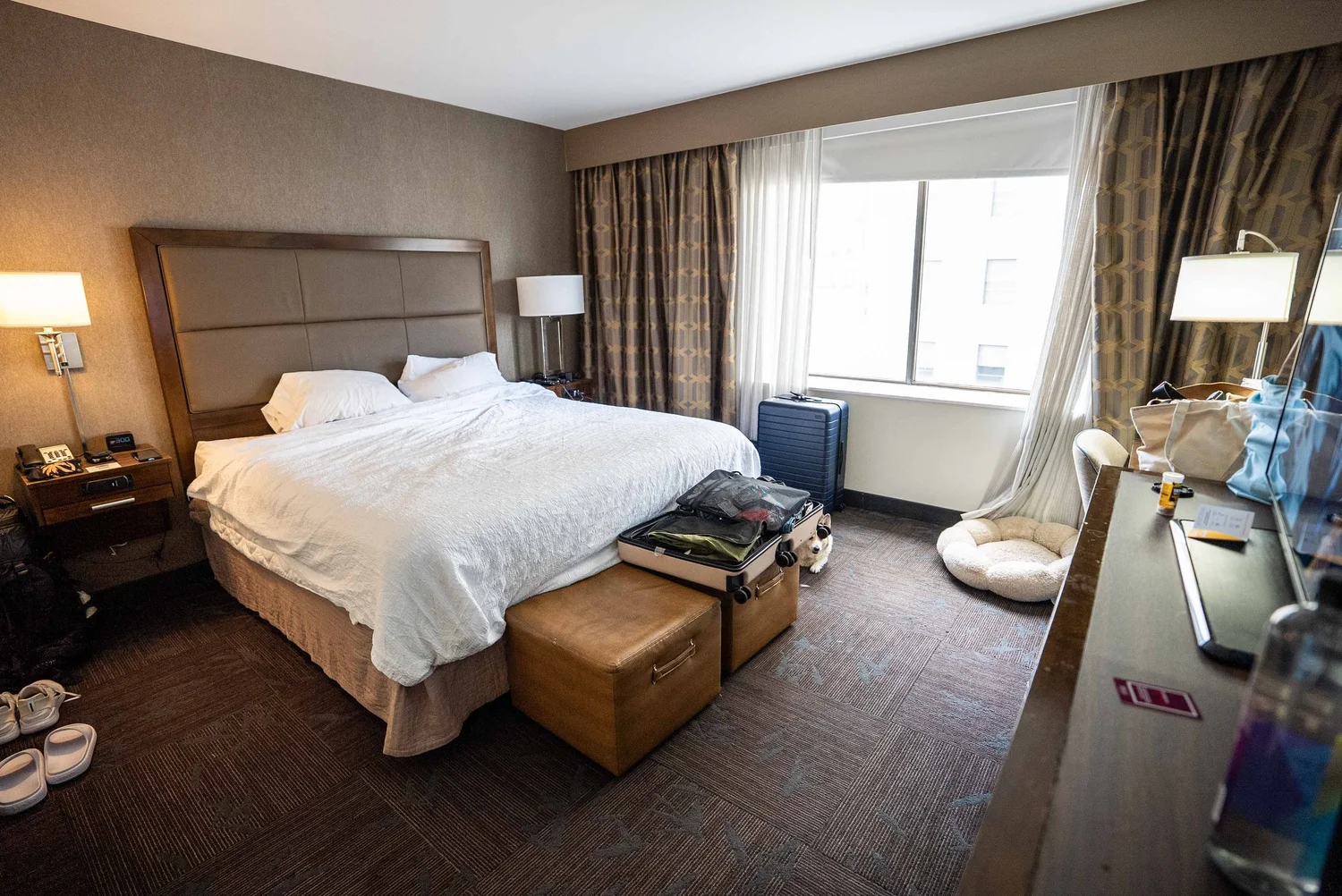Hampton Inn & Suites Downtown Dallas Hotel Review - Travel Pockets