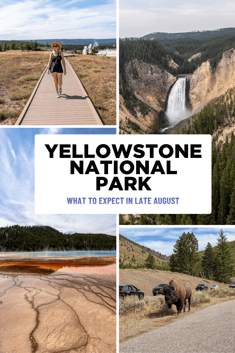 Yellowstone National Park What to Expect in Late August