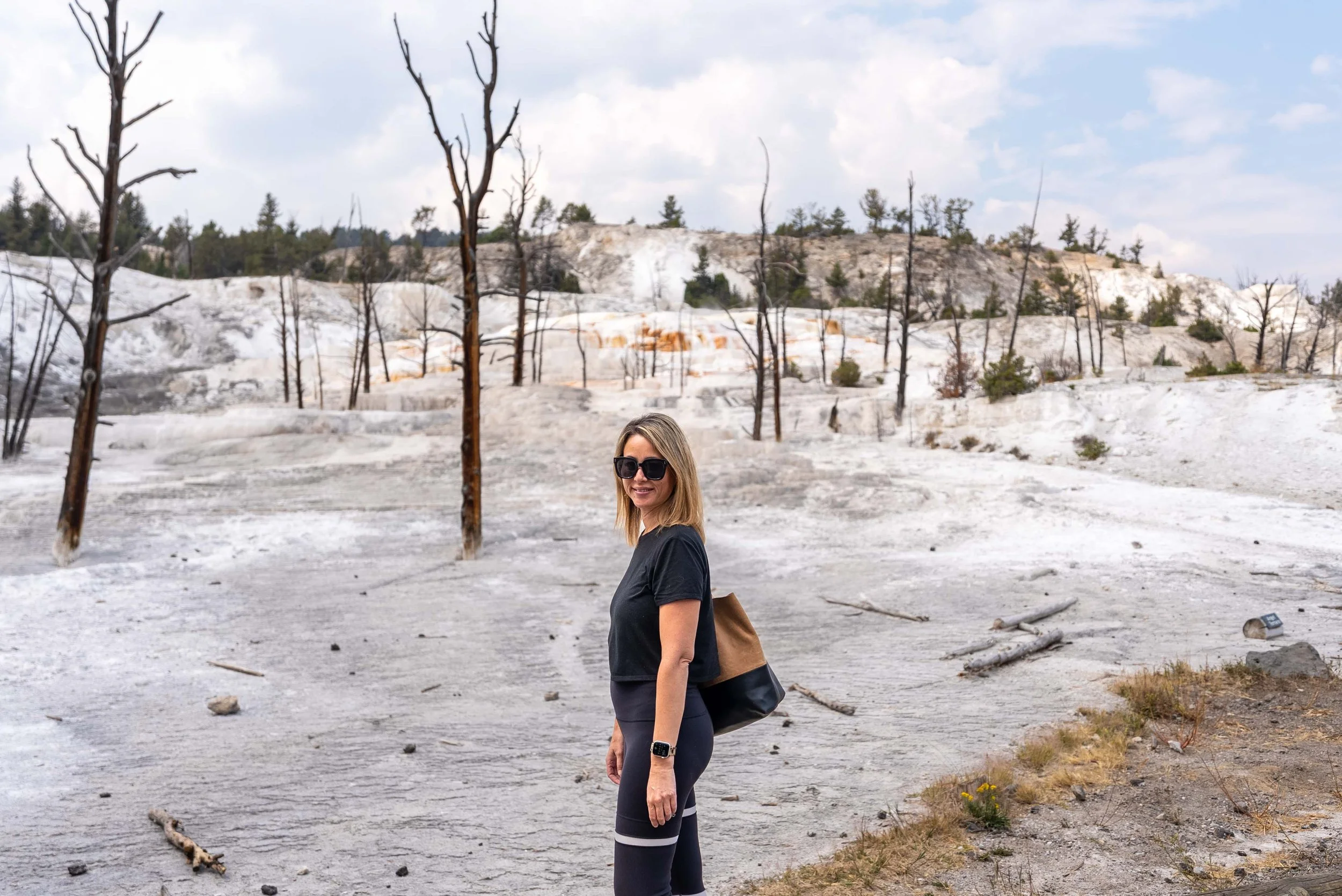 Mammoth Hot Springs Yellowstone