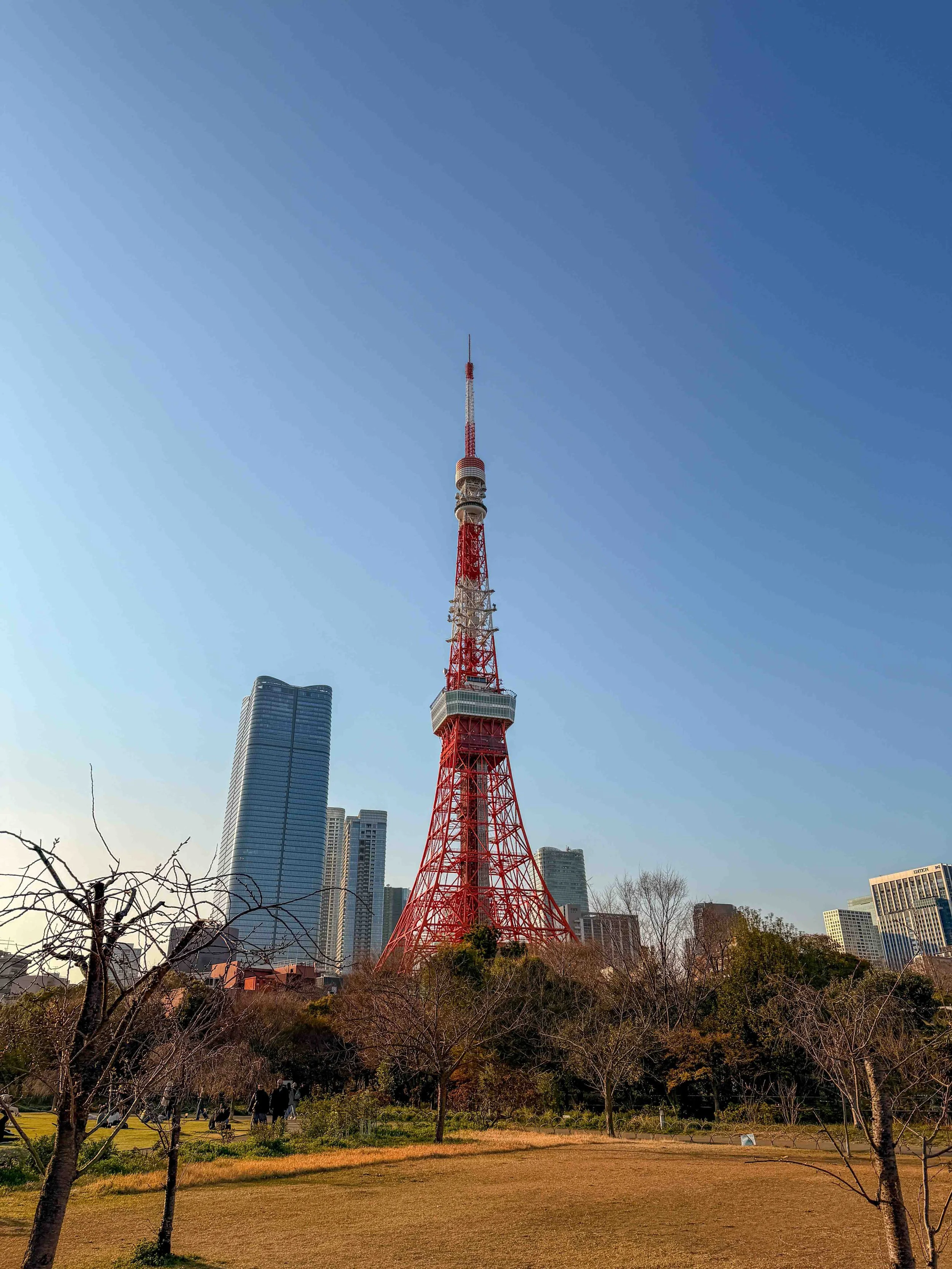 Tokyo Tower View at Shiba Park
