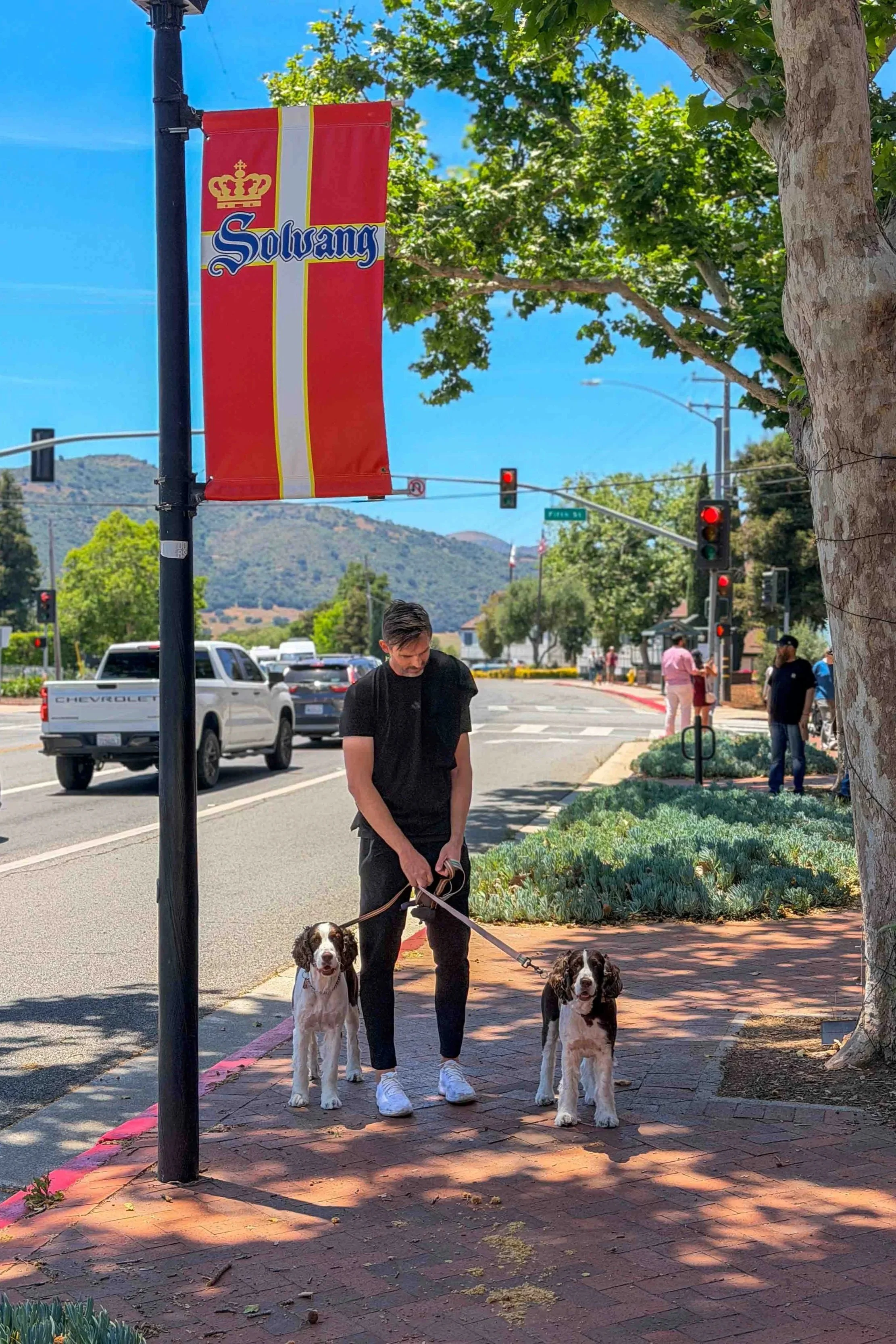 solvang sign in city