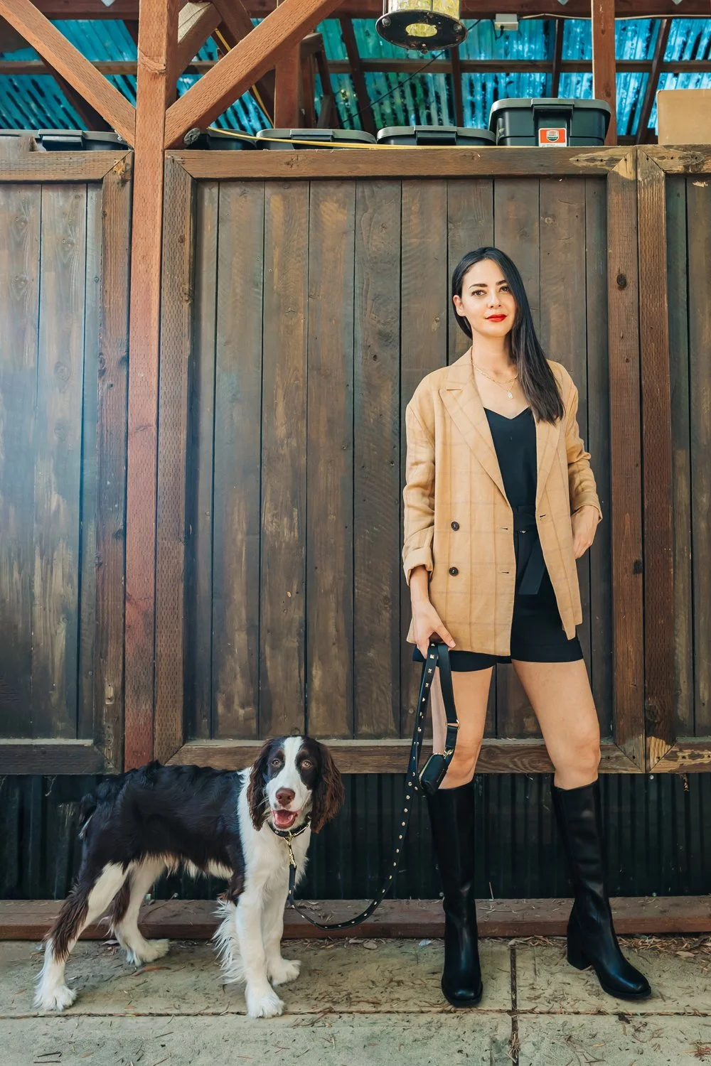 Bandolier Dog Leash set