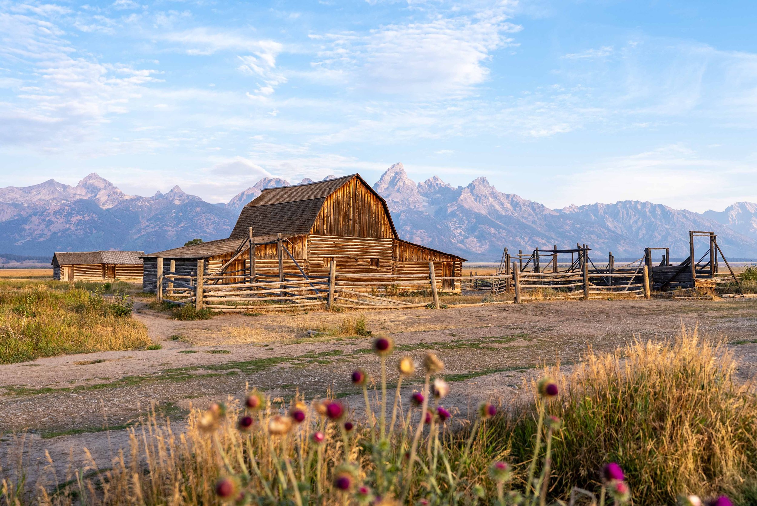 Barn at Mormon Row with the Grand Teton mountains in the background in Wyoming