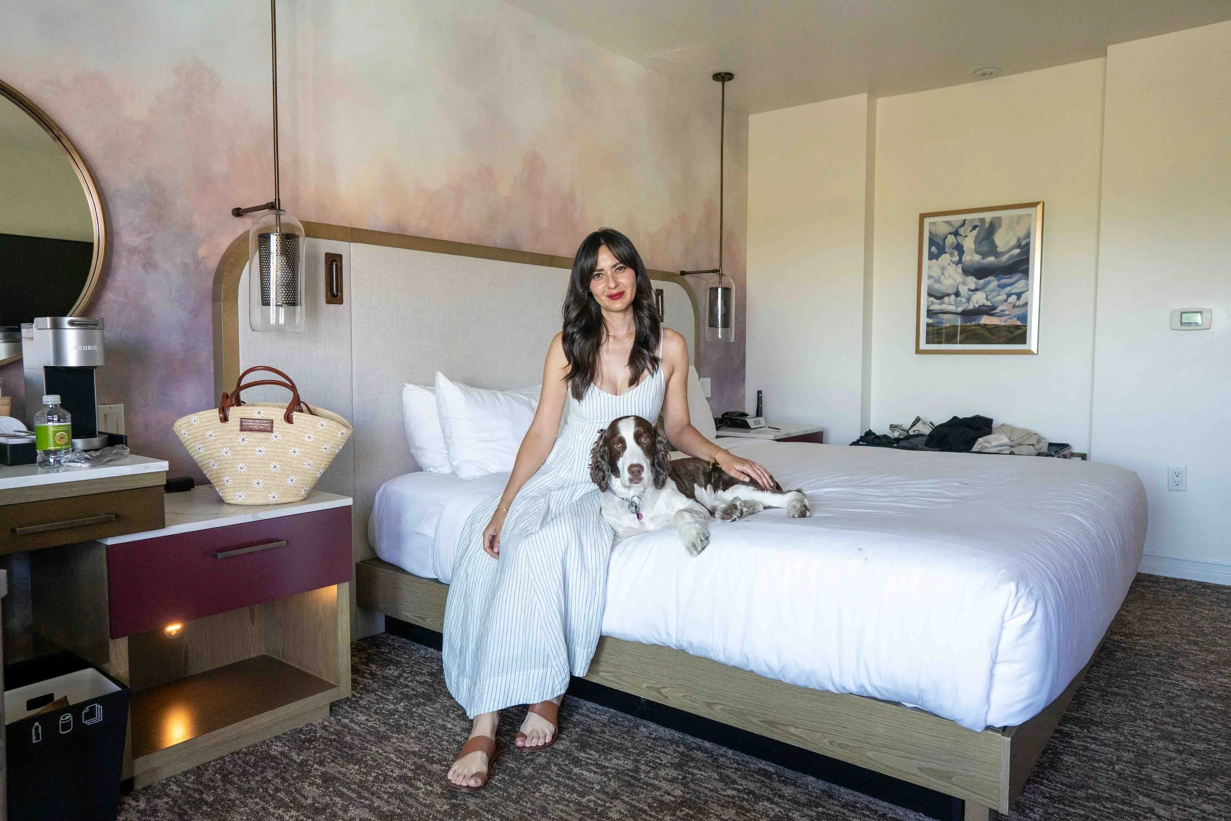 dog on hotel bed