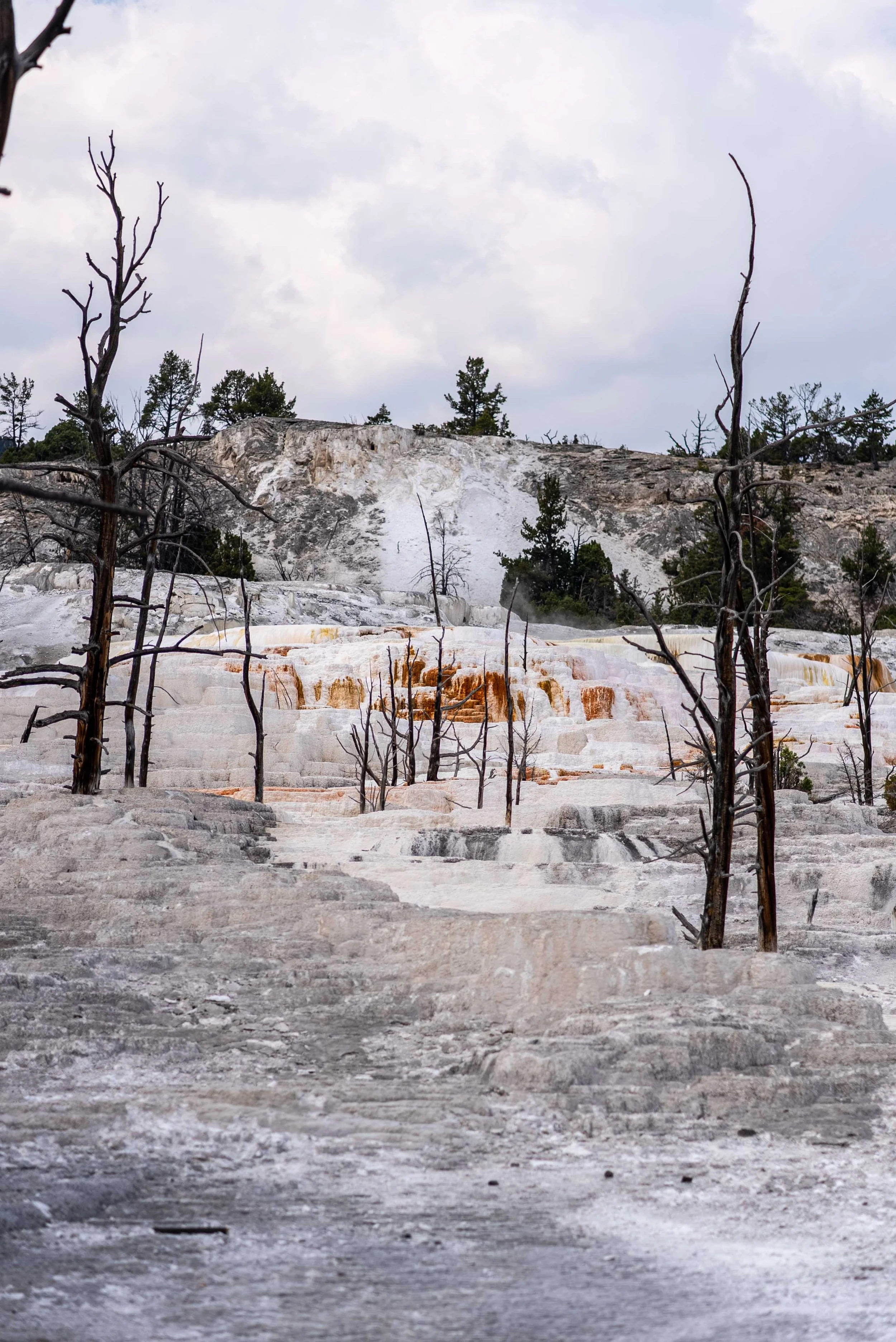 Mammoth Hot Springs Yellowstone