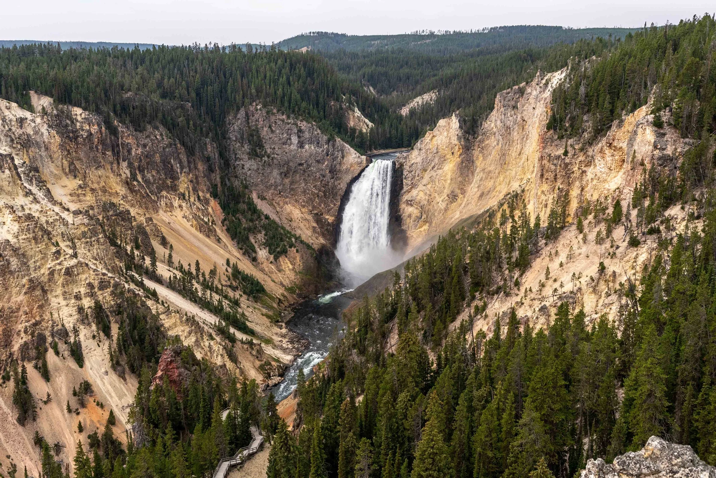 The Grand Canyon of Yellowstone
