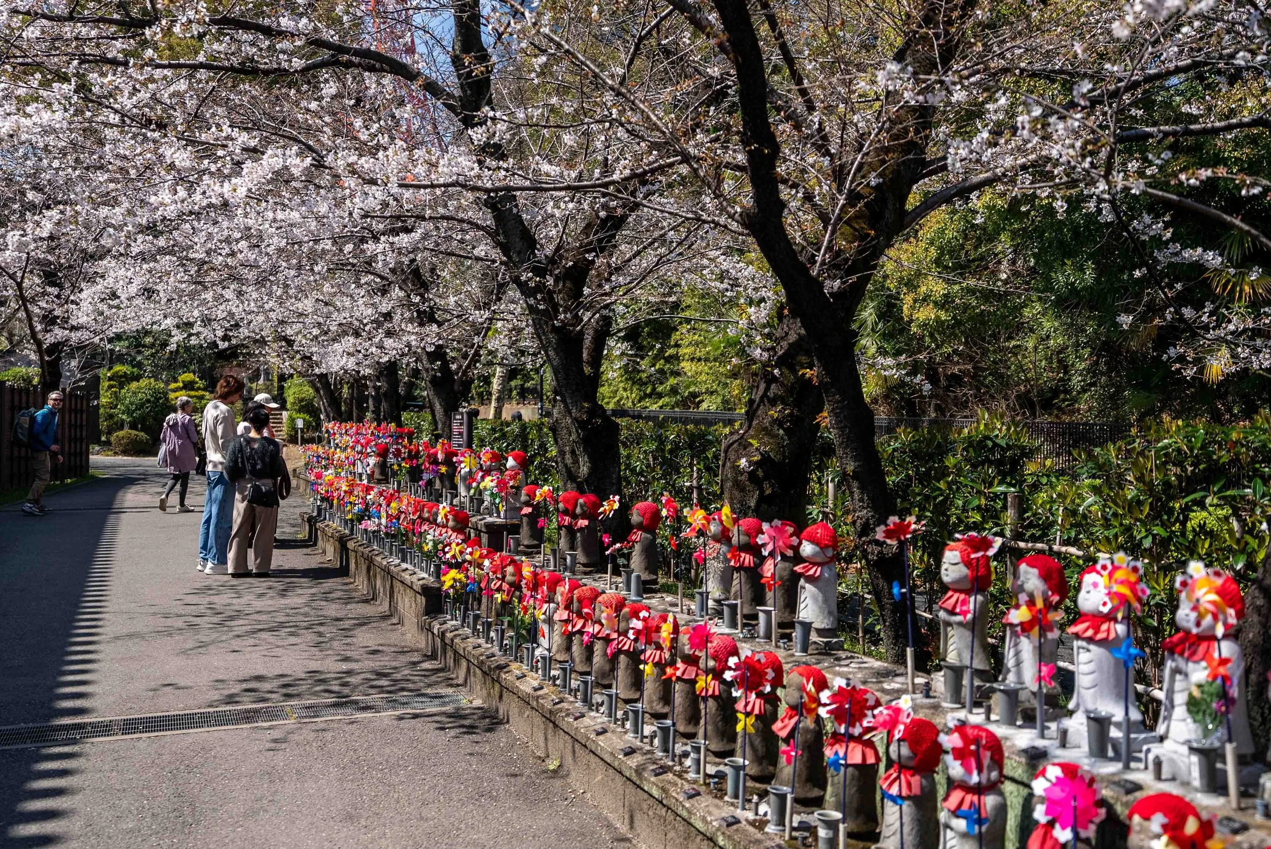 Garden of unborn children