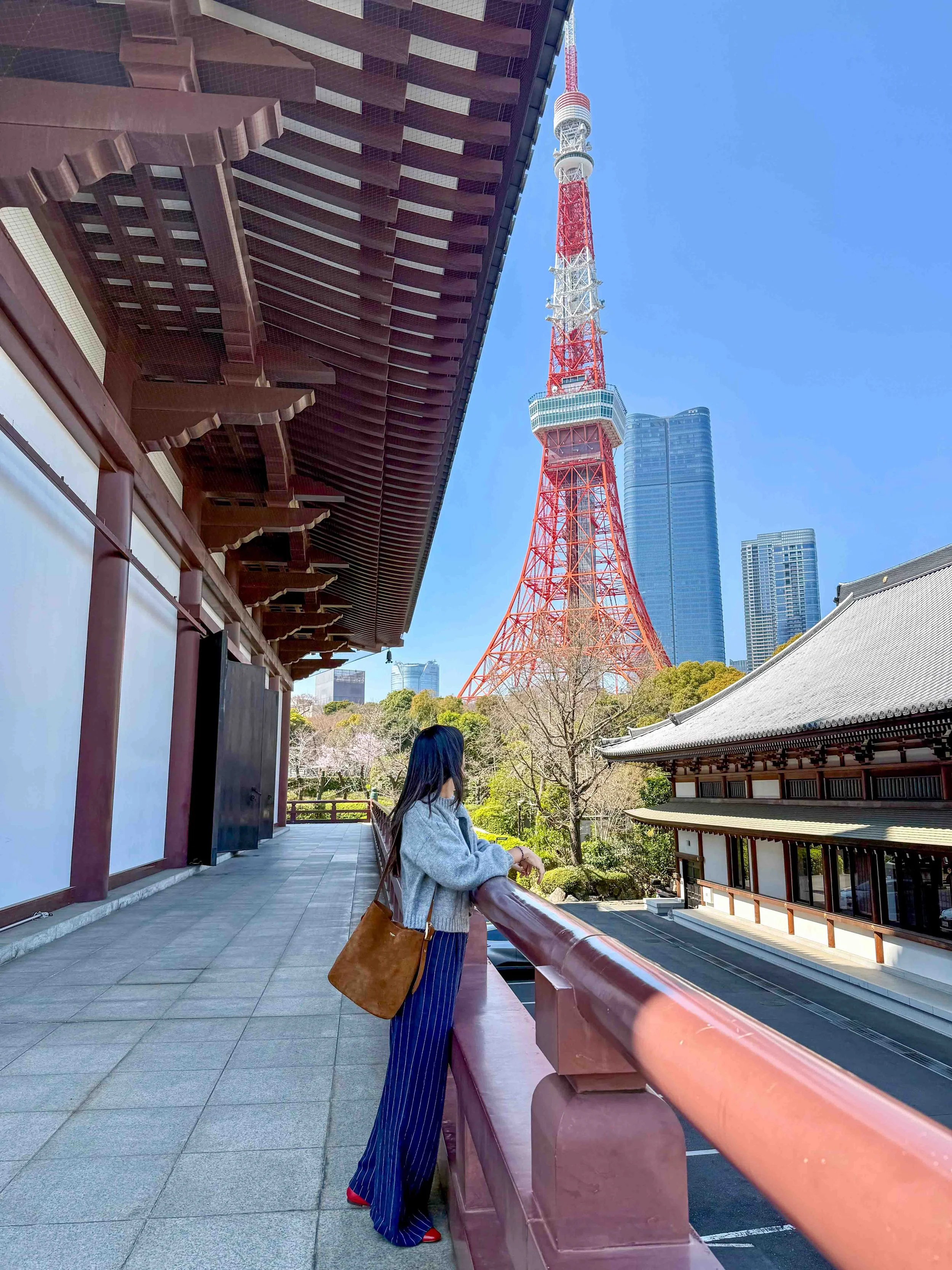 Viewing the Tokyo Tower