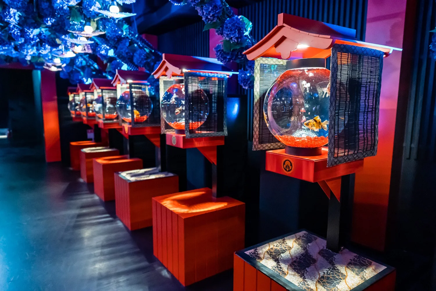 The Art Aquarium Museum Ginza - A New Tokyo Attraction - Travel Pockets
